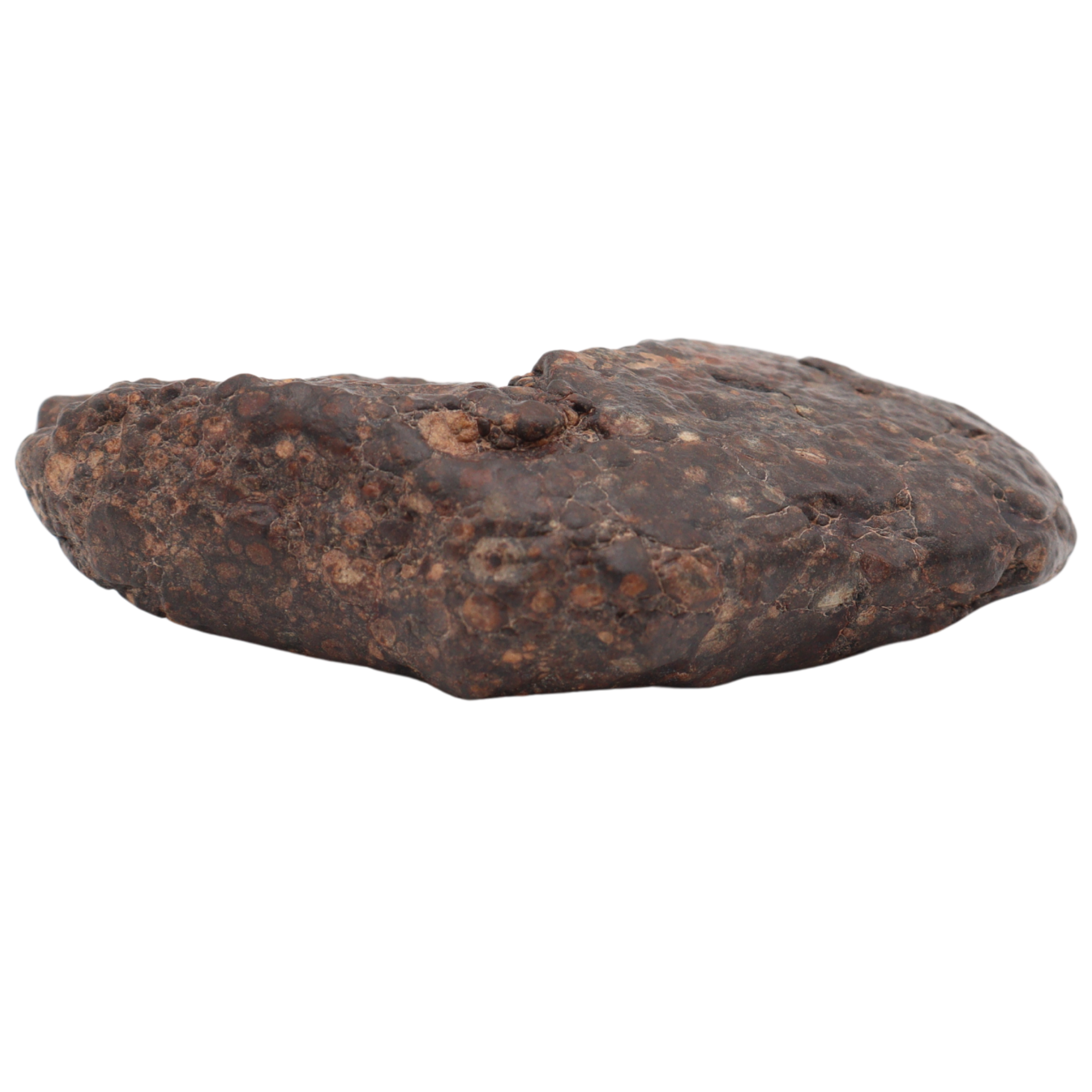 Erg Chech 008 Meteorite Carbonaceous Chondrite CR2 57.5 g. - MBS meteorite 