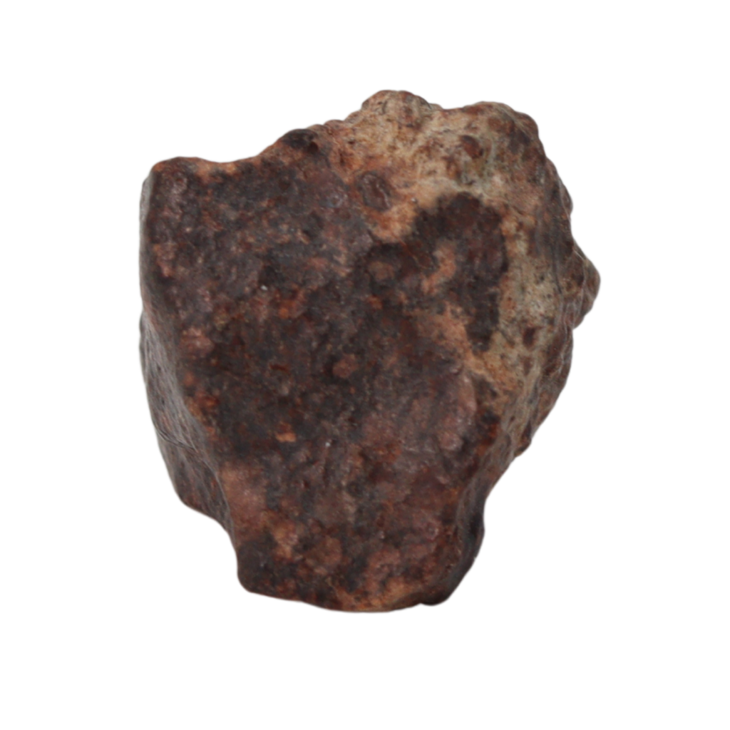 NWA 869 Meteorite Ordinary Chondrite Regolith Breccia (8.64 g) - MBS meteorite 