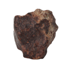 NWA 869 Meteorite Ordinary Chondrite Regolith Breccia (8.64 g) - MBS meteorite 