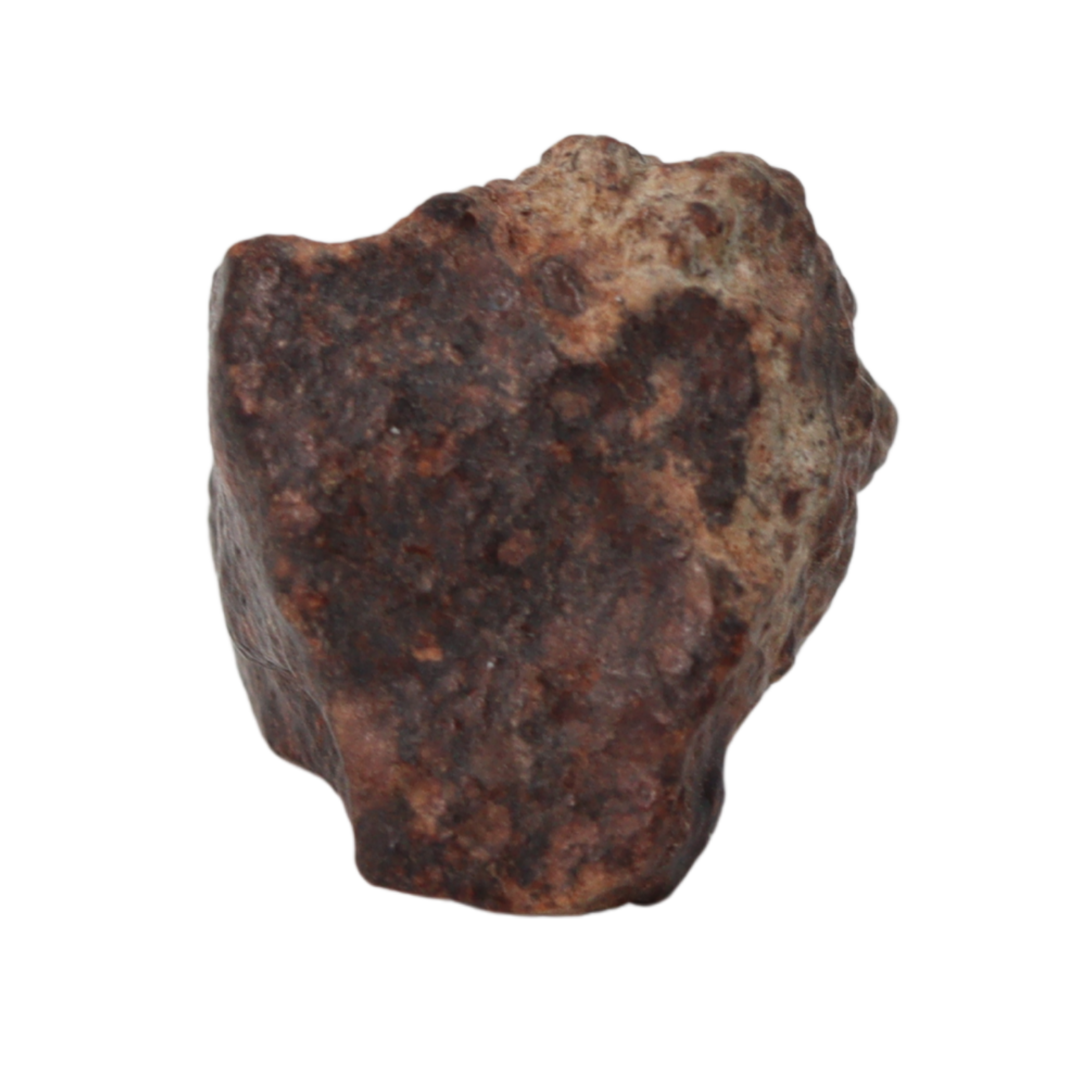 NWA 869 Meteorite Ordinary Chondrite Regolith Breccia (8.64 g) - MBS meteorite 