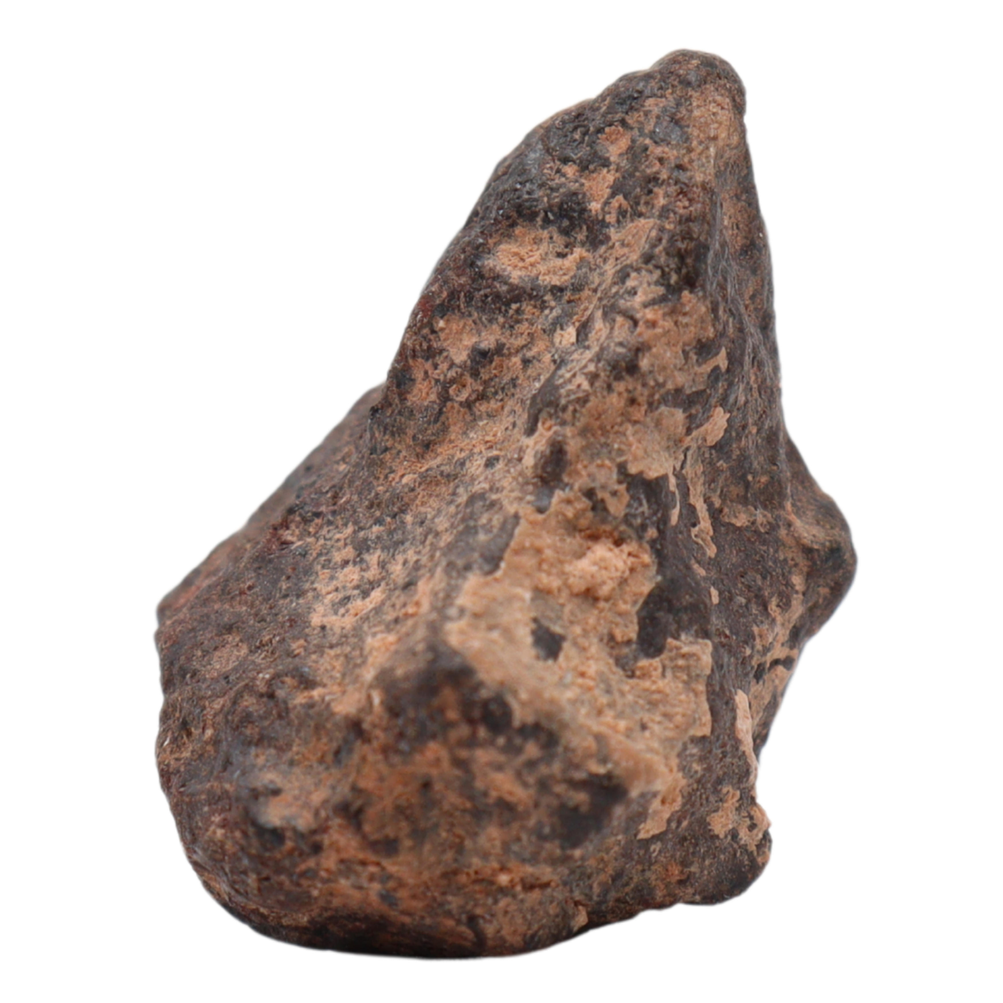 Rafsa 007 Meteorite Plutonic Angrite (13 g). - MBS meteorite 