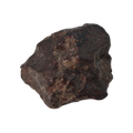 NWA 869 Meteorite Ordinary Chondrite Regolith Breccia (15.36 g) - MBS meteorite 