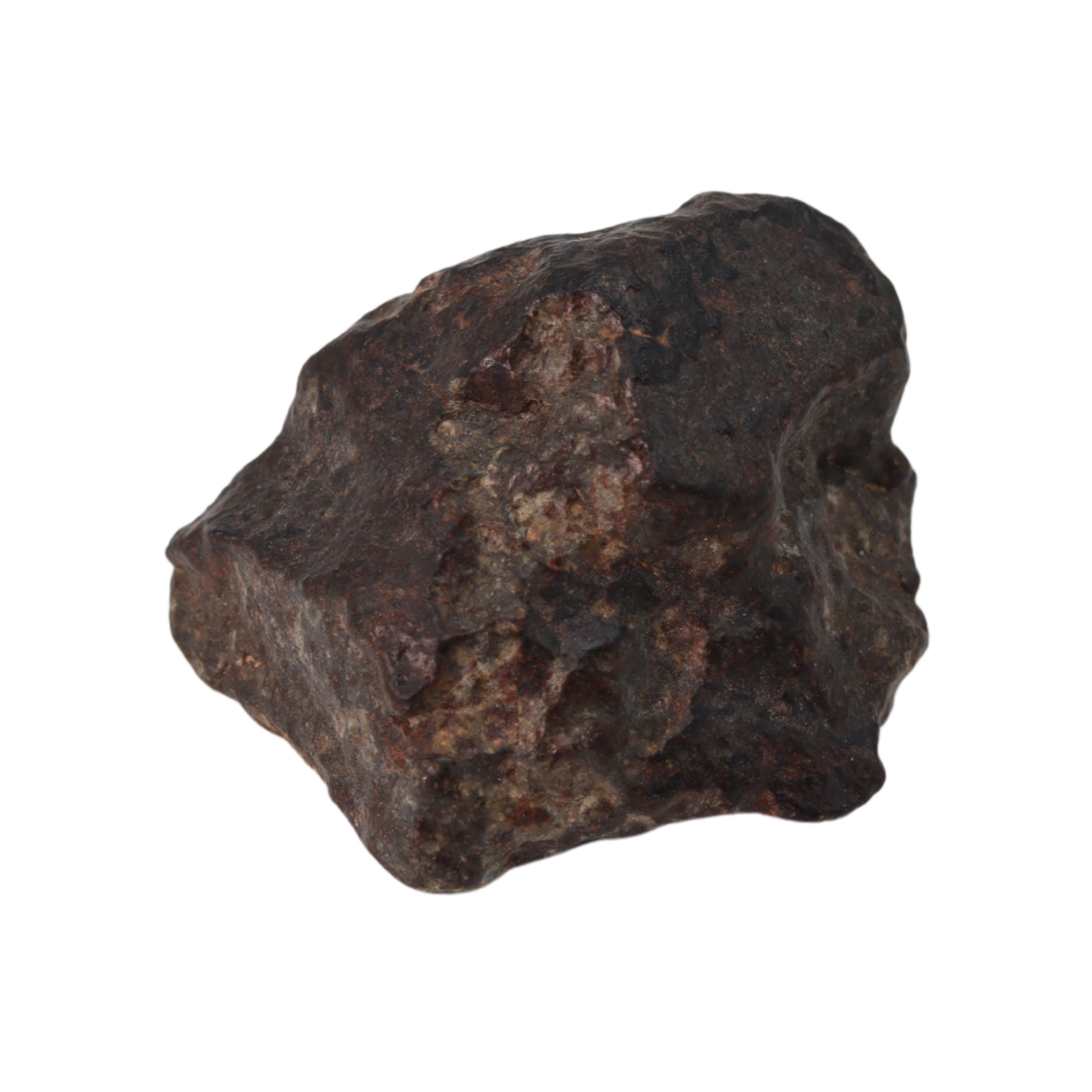 NWA 869 Meteorite Ordinary Chondrite Regolith Breccia (15.36 g) - MBS meteorite 