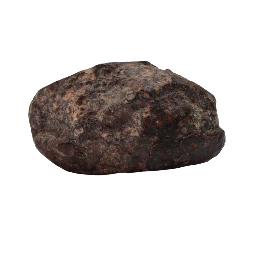 NWA 869 Meteorite - Famous L3-6 Regolith Breccia (42.09 g). - MBS meteorite 