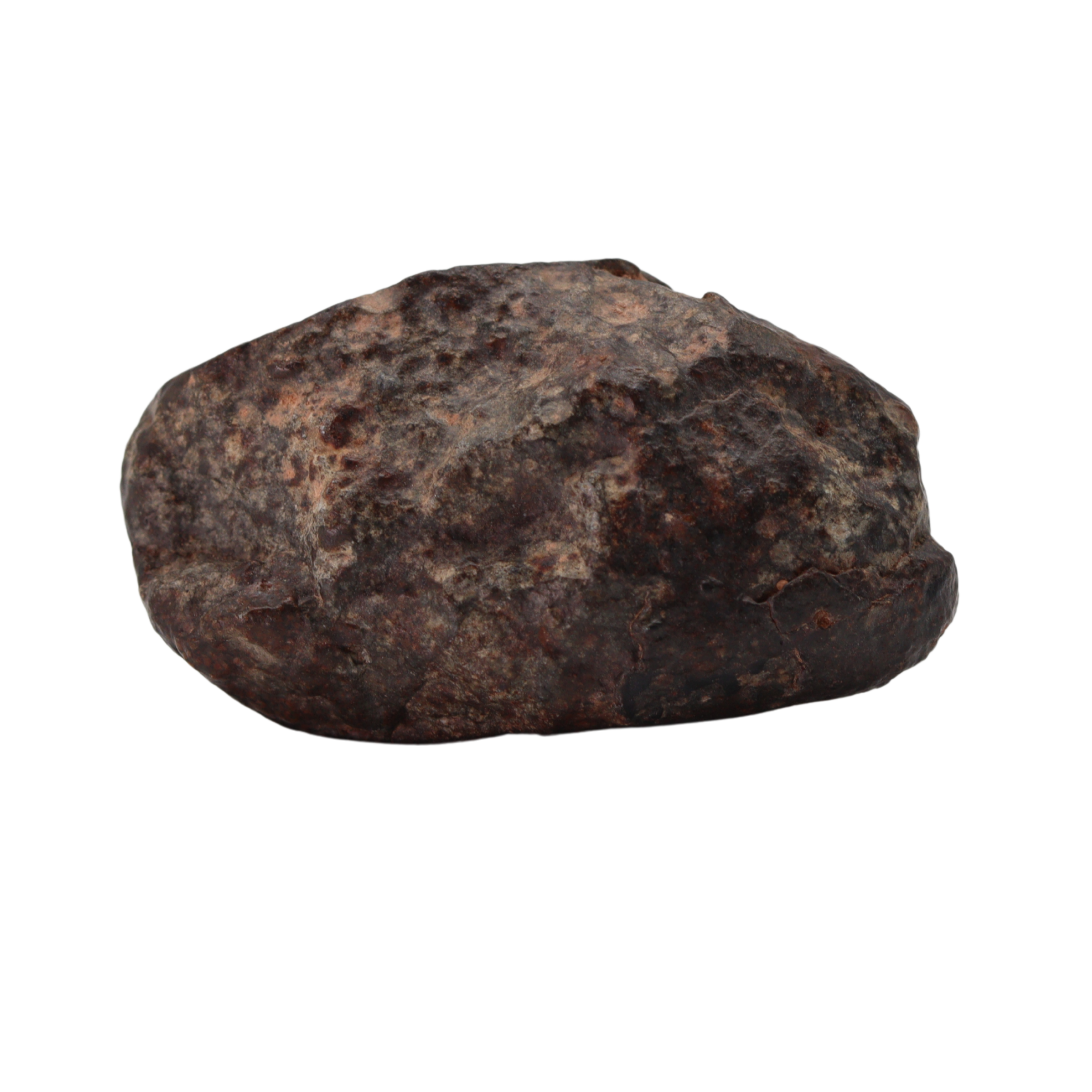 NWA 869 Meteorite - Famous L3-6 Regolith Breccia (42.09 g). - MBS meteorite 