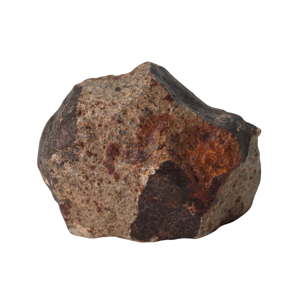 NWA 13281 Meteorite Ordinary Chondrite L5 (145 g) - MBS meteorite 