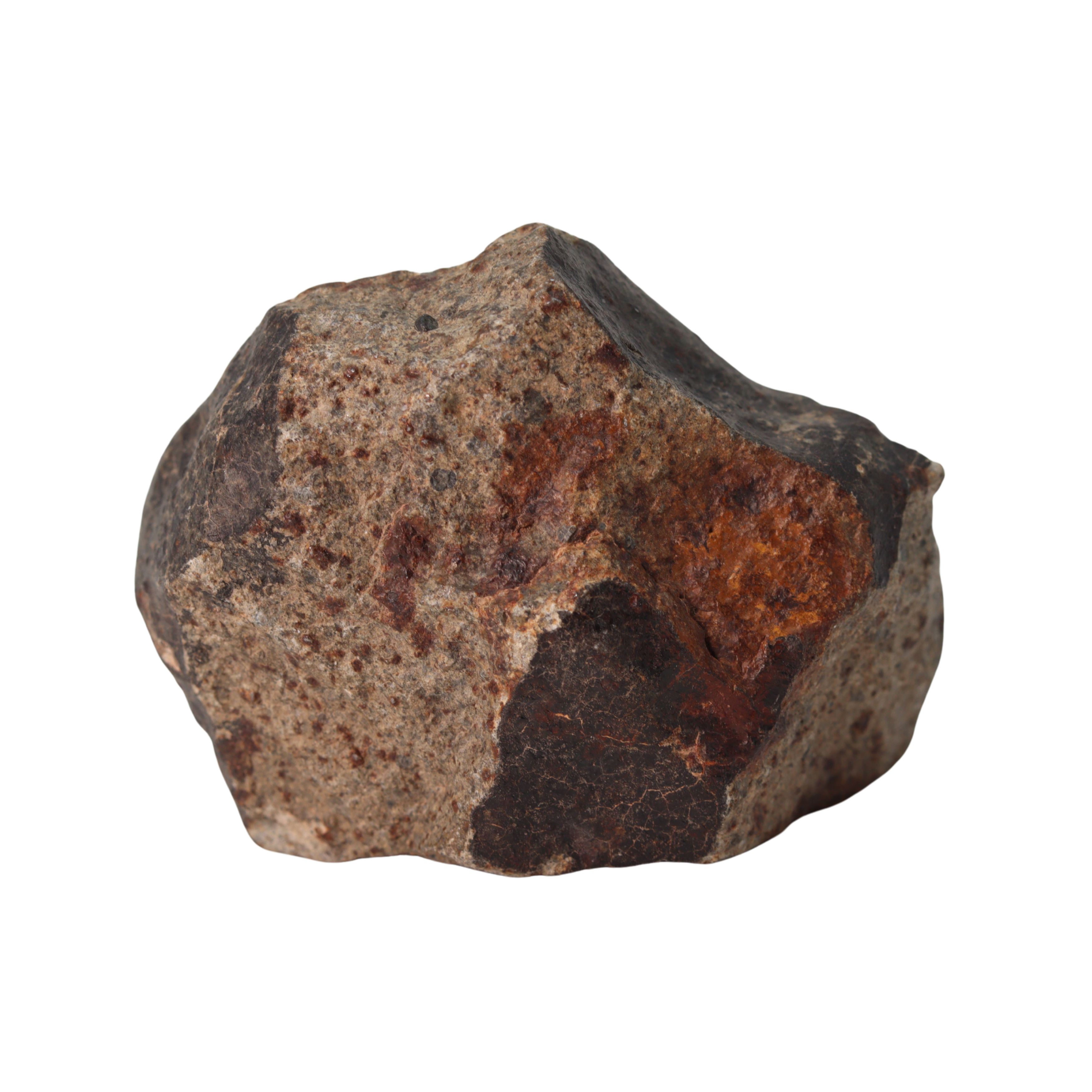 NWA 13281 Meteorite Ordinary Chondrite L5 (145 g) - MBS meteorite 