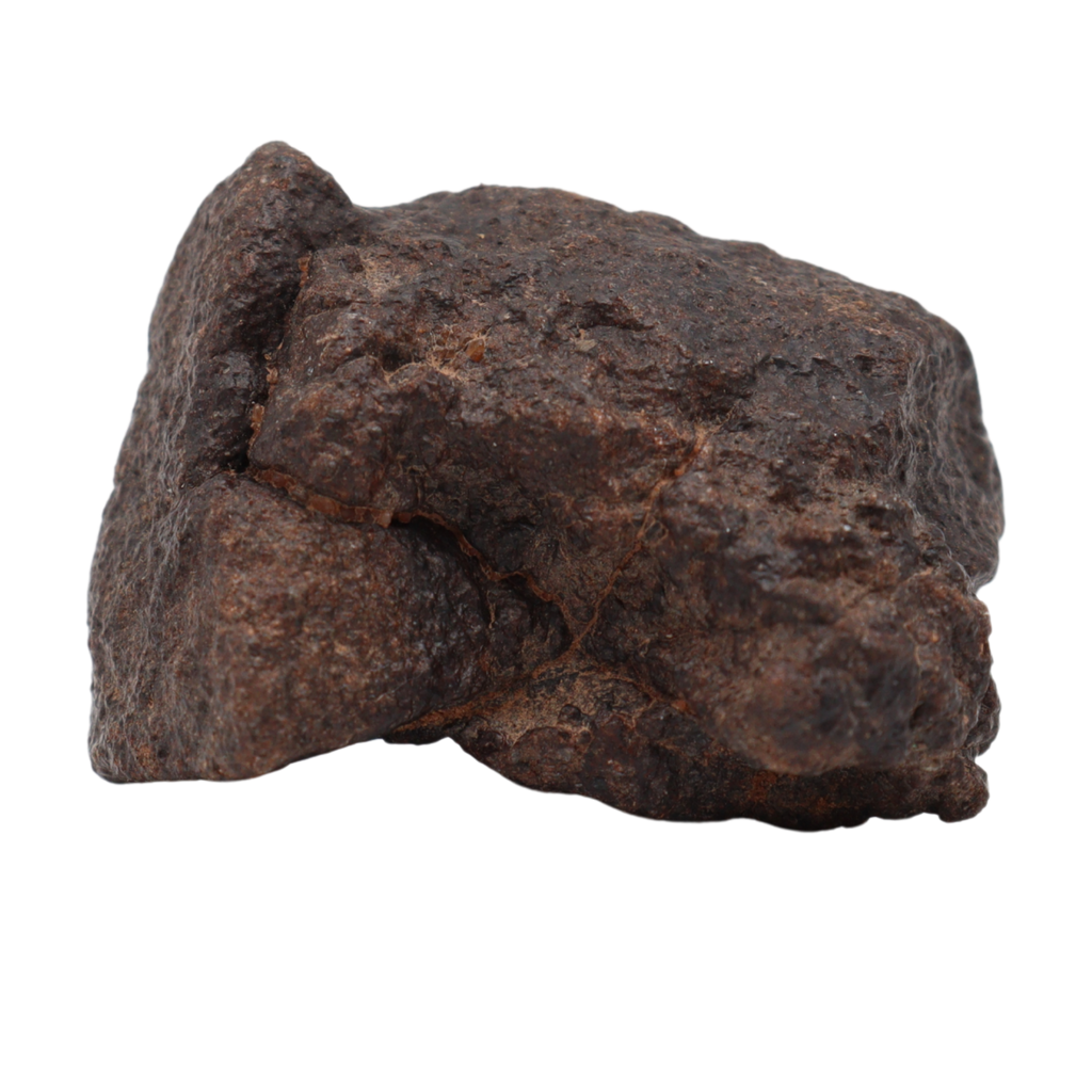 NWA 16208 Meteorite Rare Winonaite Primitive Achondrite(17.9 g). - MBS meteorite 