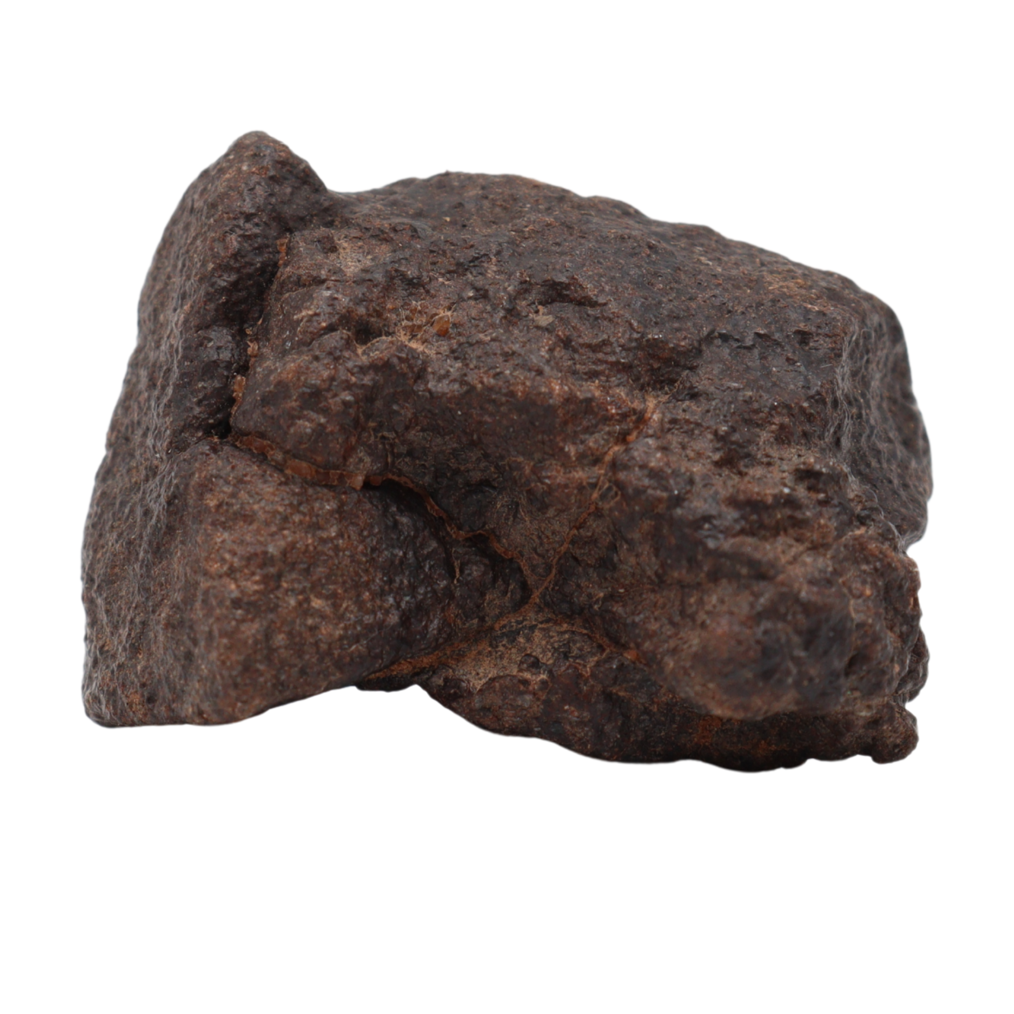 NWA 16208 Meteorite Rare Winonaite Primitive Achondrite(17.9 g). - MBS meteorite 