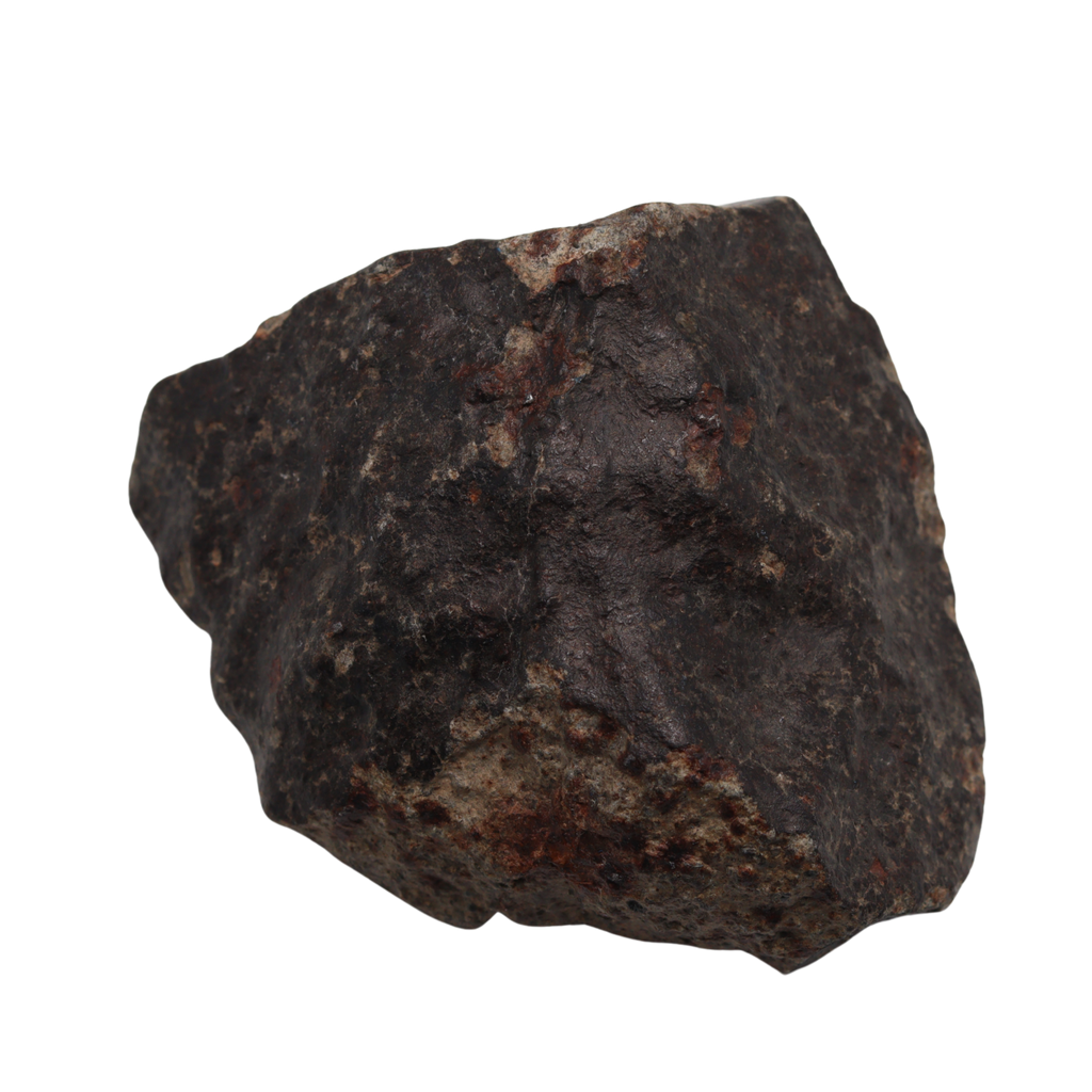 NWA 13281 Meteorite L5 Chondrite with Fusion Crust (175 g). - MBS meteorite 