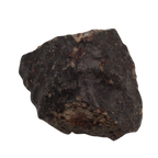 NWA 13281 Meteorite L5 Chondrite with Fusion Crust (175 g). - MBS meteorite 