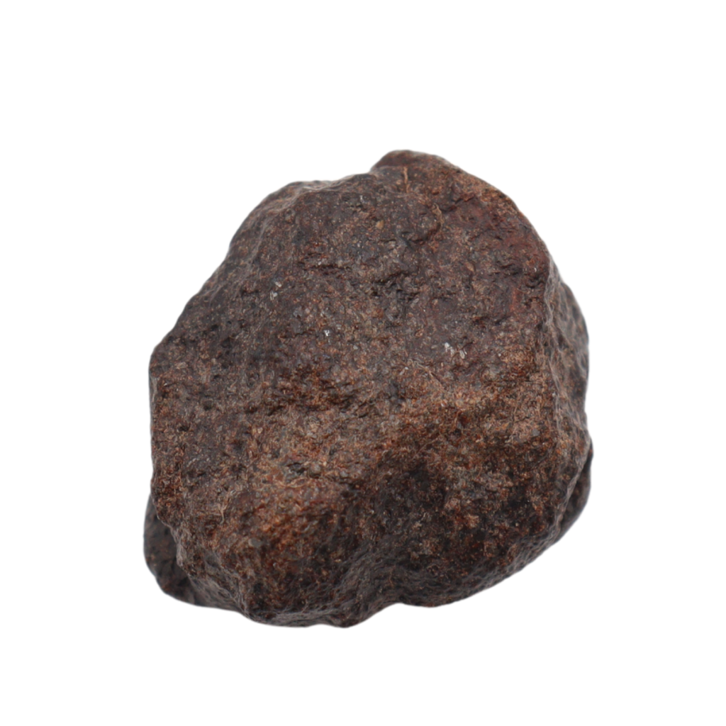 NWA 16208 Meteorite Winonaite Primitive Achondrite (6 g). - MBS meteorite 