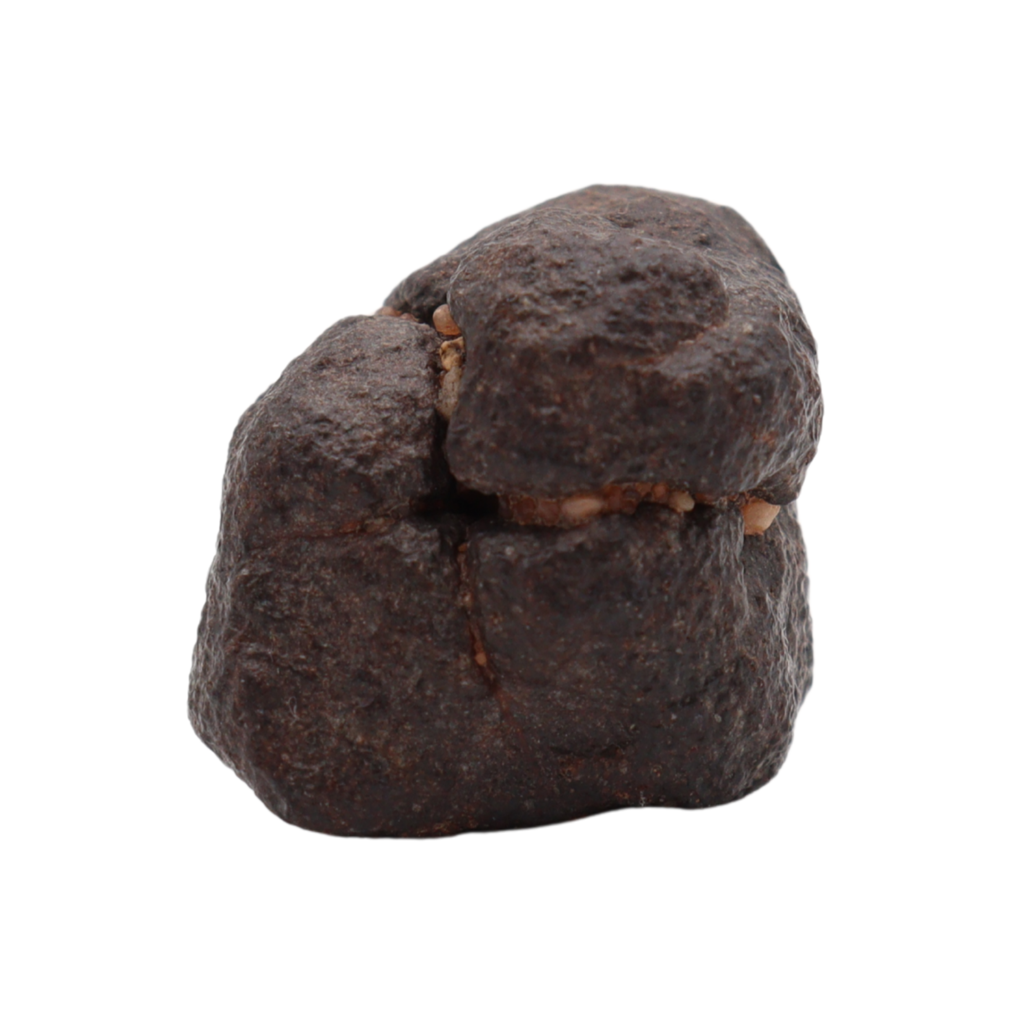 NWA 16208 Meteorite Winonaite Primitive Achondrite (8.66 g). - MBS meteorite 