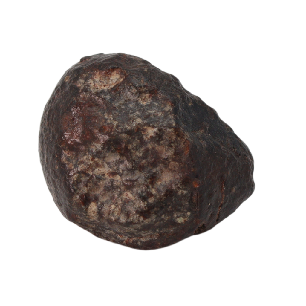 NWA 869 Meteorite Ordinary Chondrite Regolith Breccia (10.78 g) - MBS meteorite 