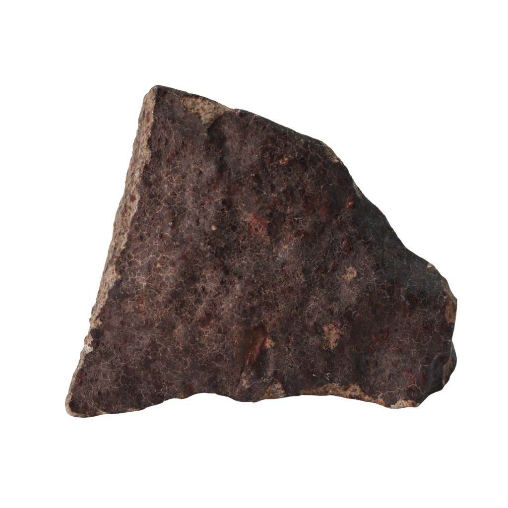 NWA 13281 Meteorite Ordinary Chondrite L5 (219 g) - MBS meteorite 