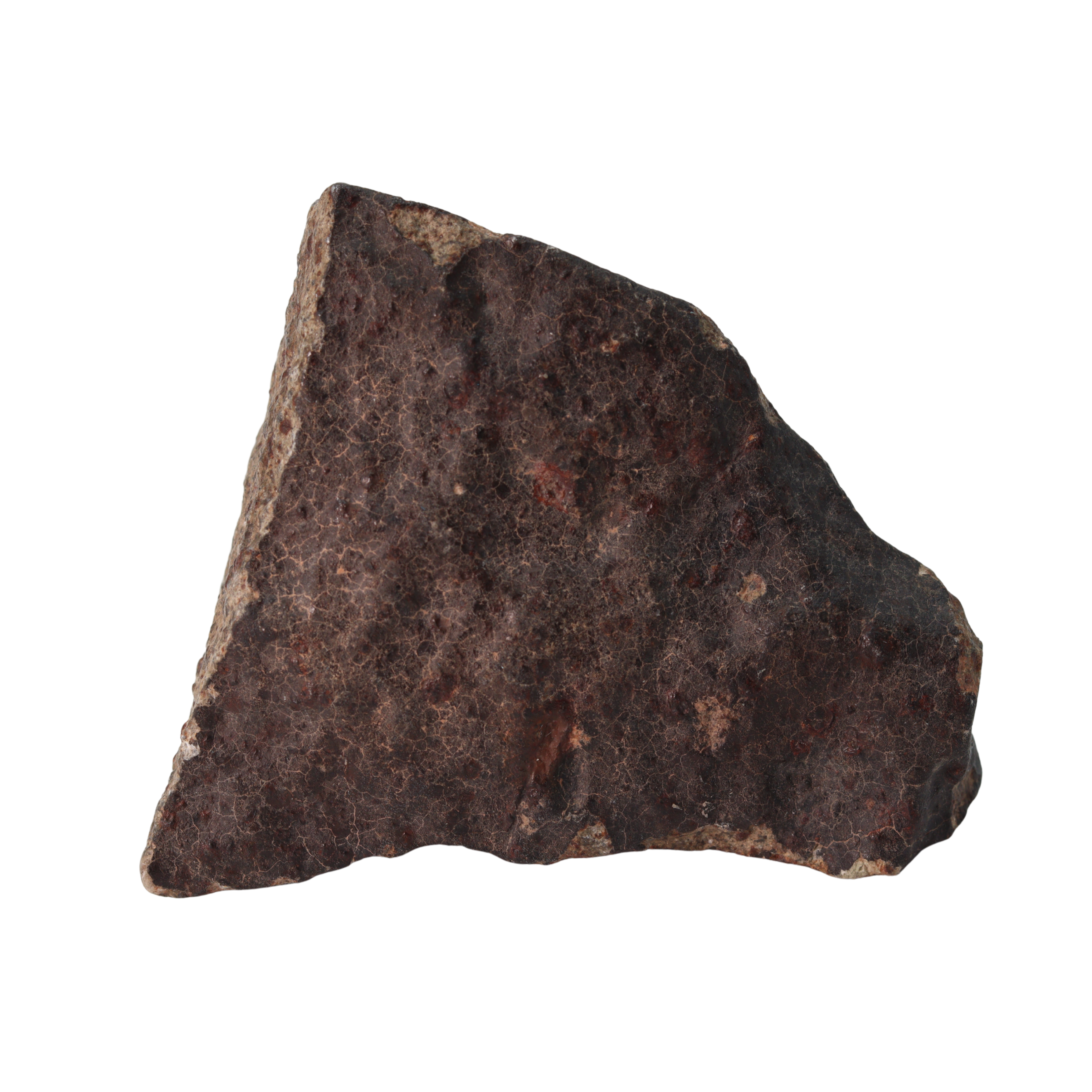 NWA 13281 Meteorite Ordinary Chondrite L5 (219 g) - MBS meteorite 