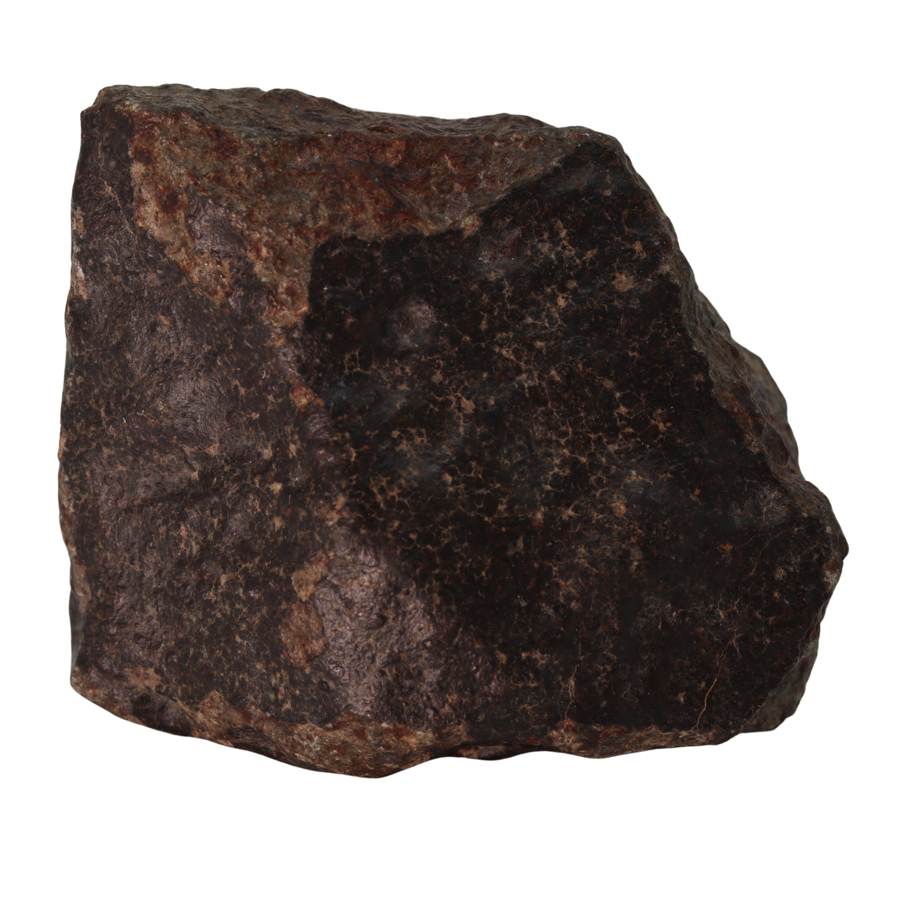 NWA 13281 Meteorite Massive L5 Chondrite Cabinet Specimen (781 g). - MBS meteorite 