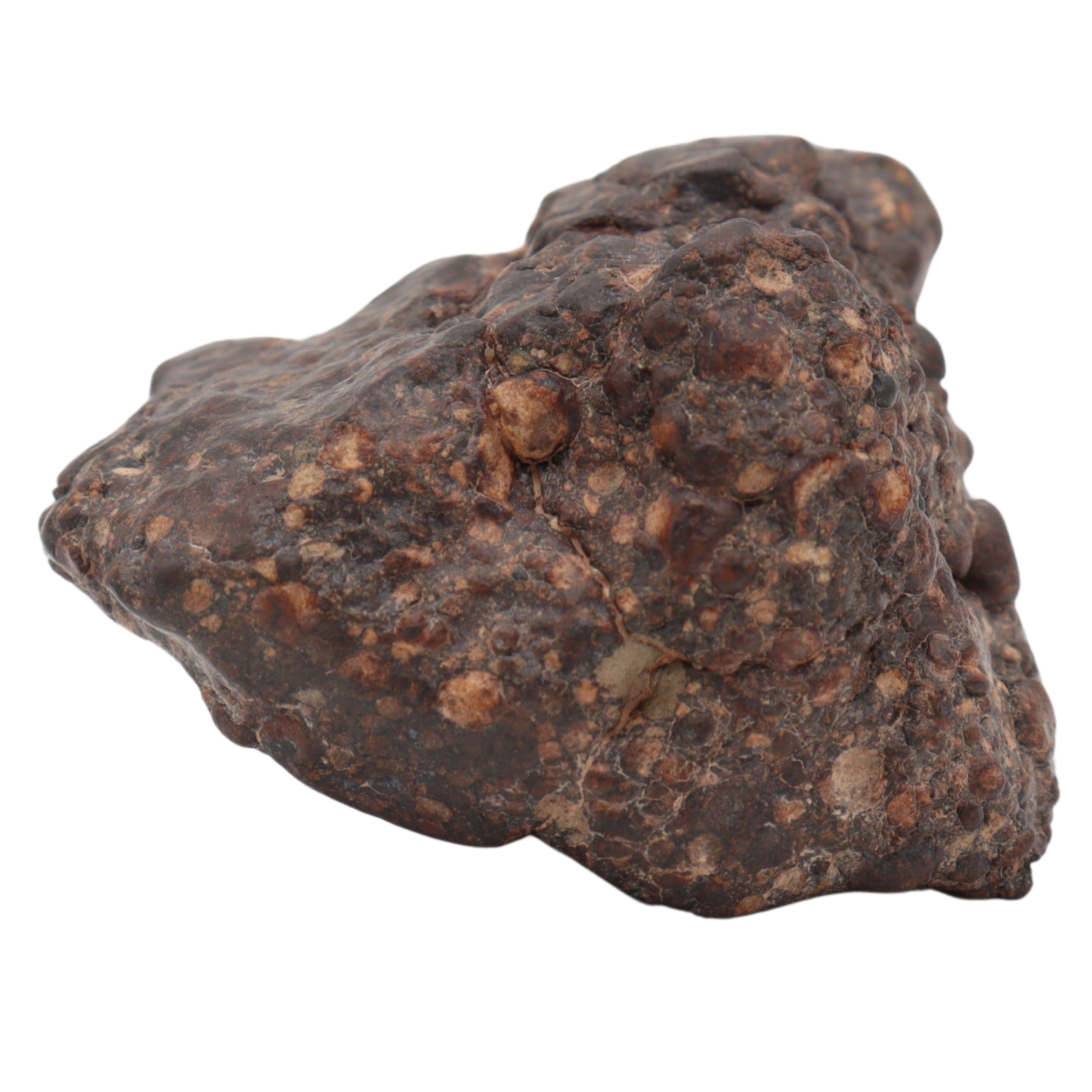Erg Chech 008 Meteorite Carbonaceous Chondrite CR2 38.9 g - MBS meteorite 