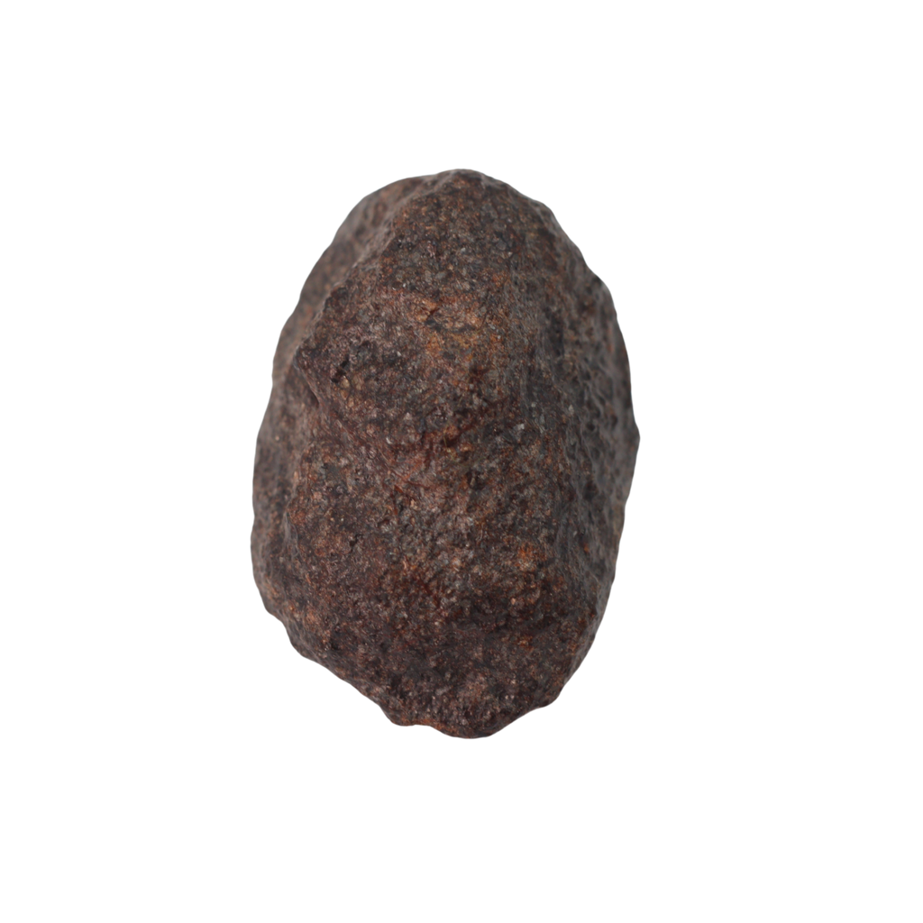 NWA 16208 Meteorite Winonaite Primitive Achondrite (5.7 g). - MBS meteorite 