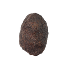 NWA 16208 Meteorite Winonaite Primitive Achondrite (5.7 g). - MBS meteorite 