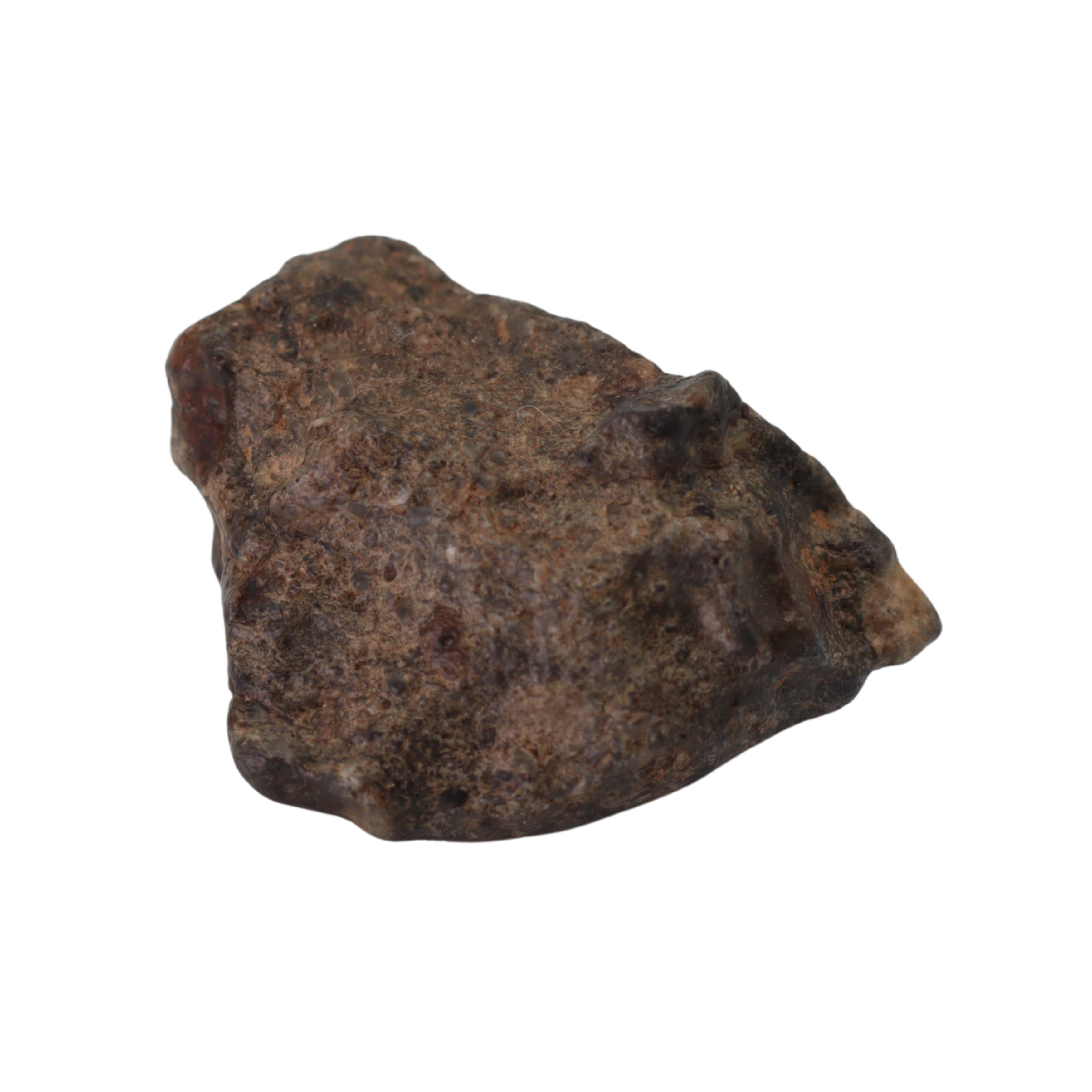 Bechar 003 Meteorite Lunar Feldspathic Breccia (2.4 g). - MBS meteorite 