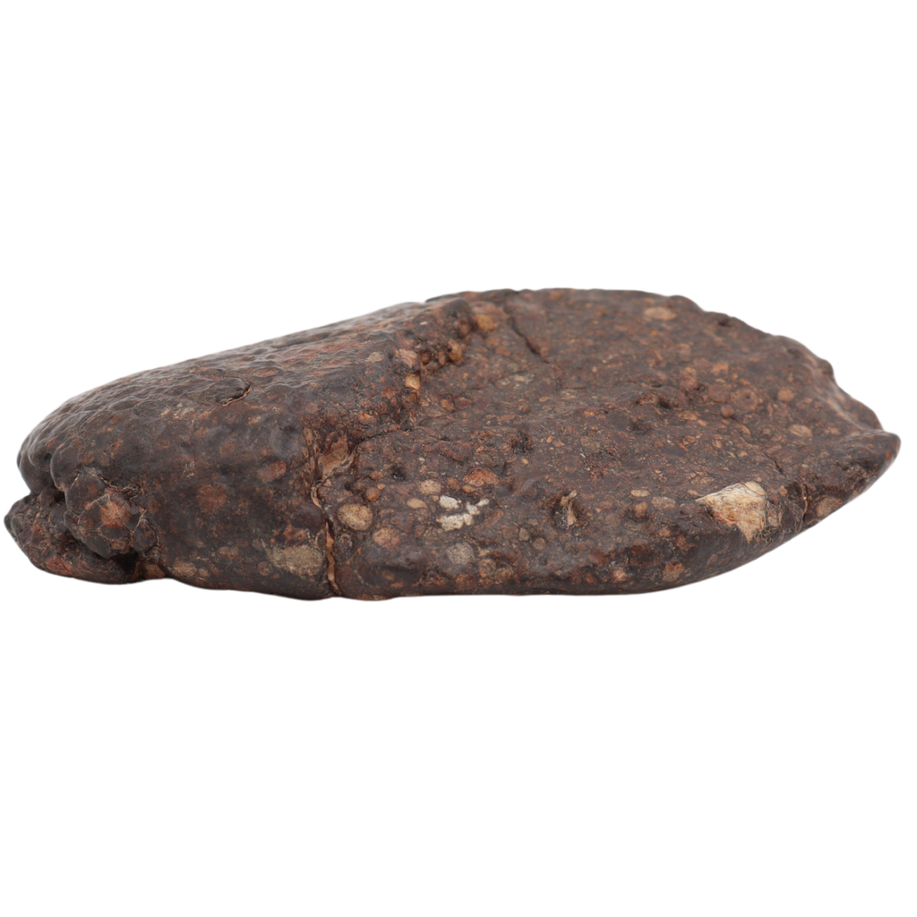 Erg Chech 008 Meteorite Carbonaceous Chondrite CR2 57.5 g. - MBS meteorite 