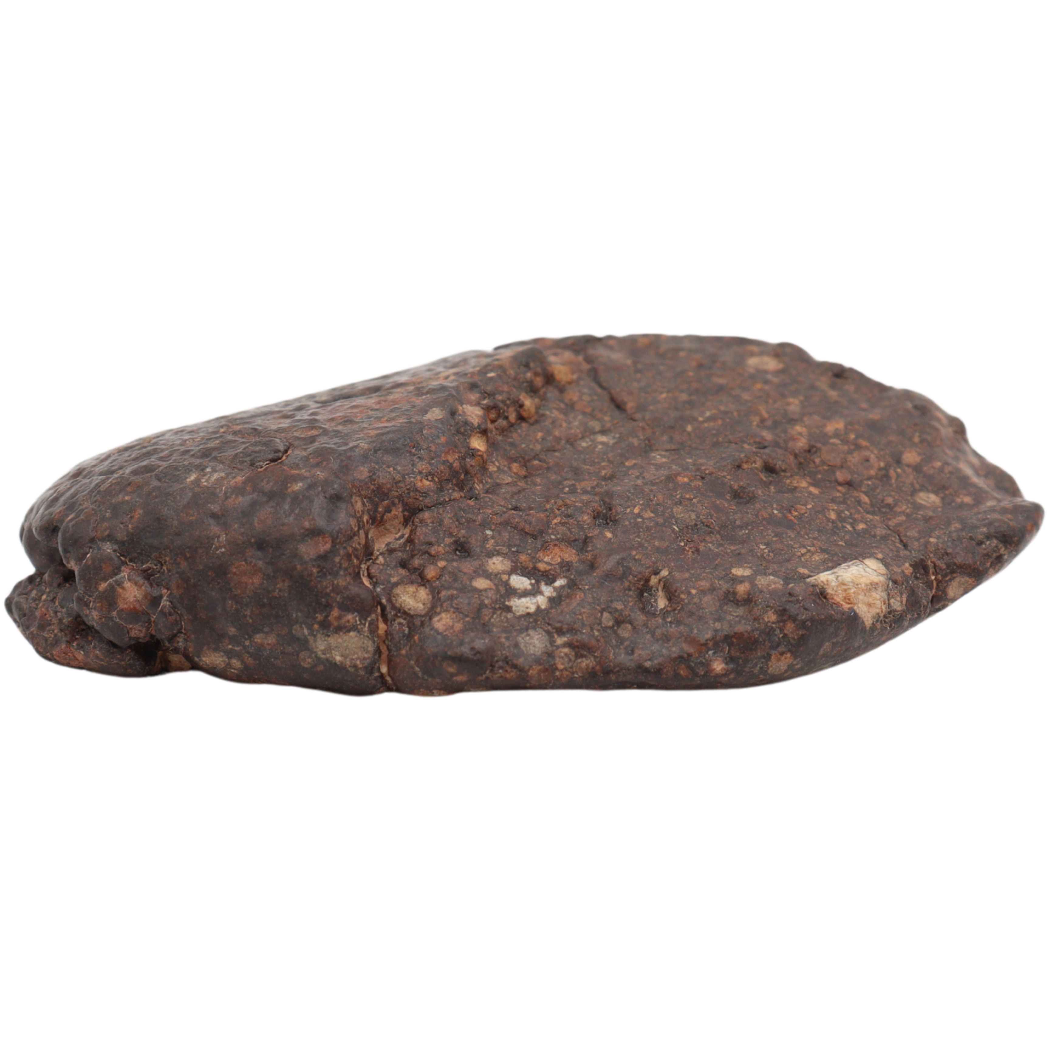 Erg Chech 008 Meteorite Carbonaceous Chondrite CR2 57.5 g. - MBS meteorite 