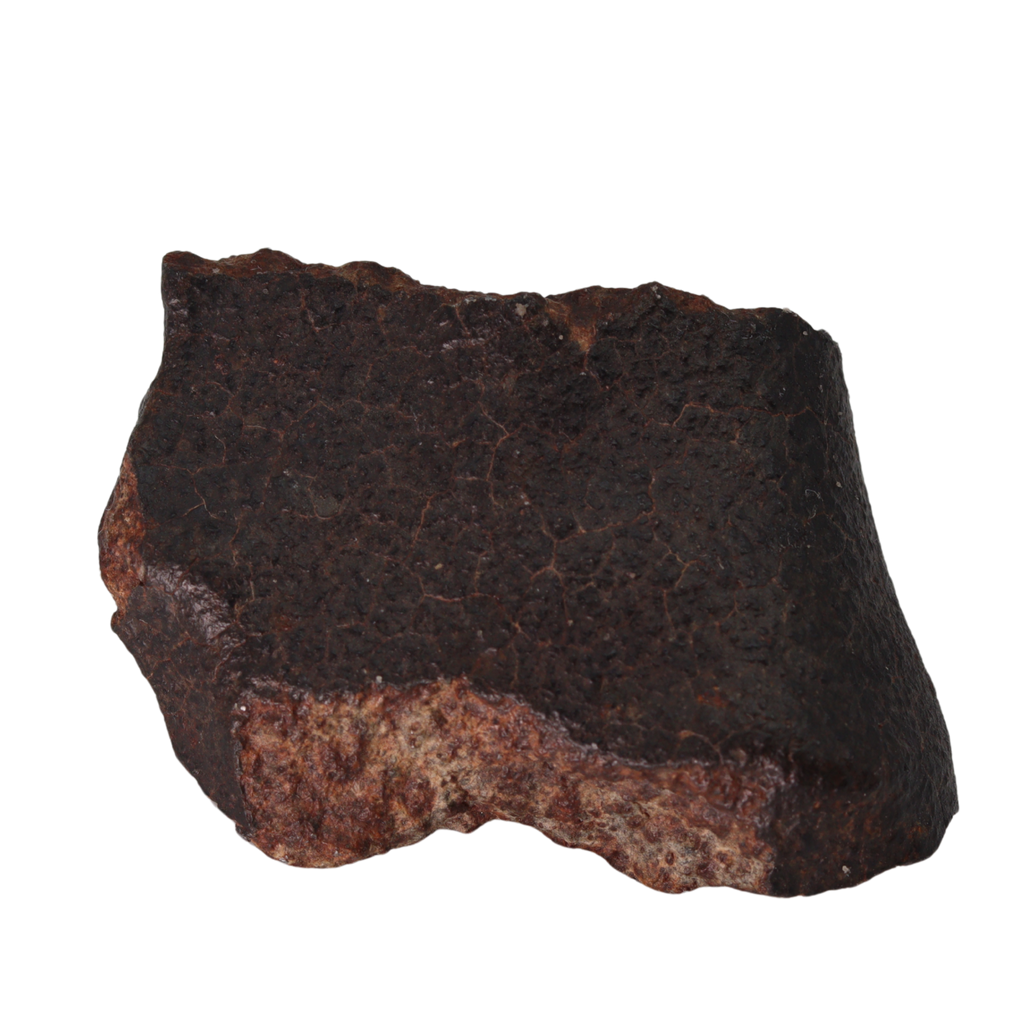 NWA 13281 Meteorite L5 Chondrite (50 g). - MBS meteorite 