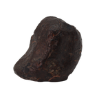 NWA 869 Meteorite Ordinary Chondrite Regolith Breccia (22.11 g) - MBS meteorite 