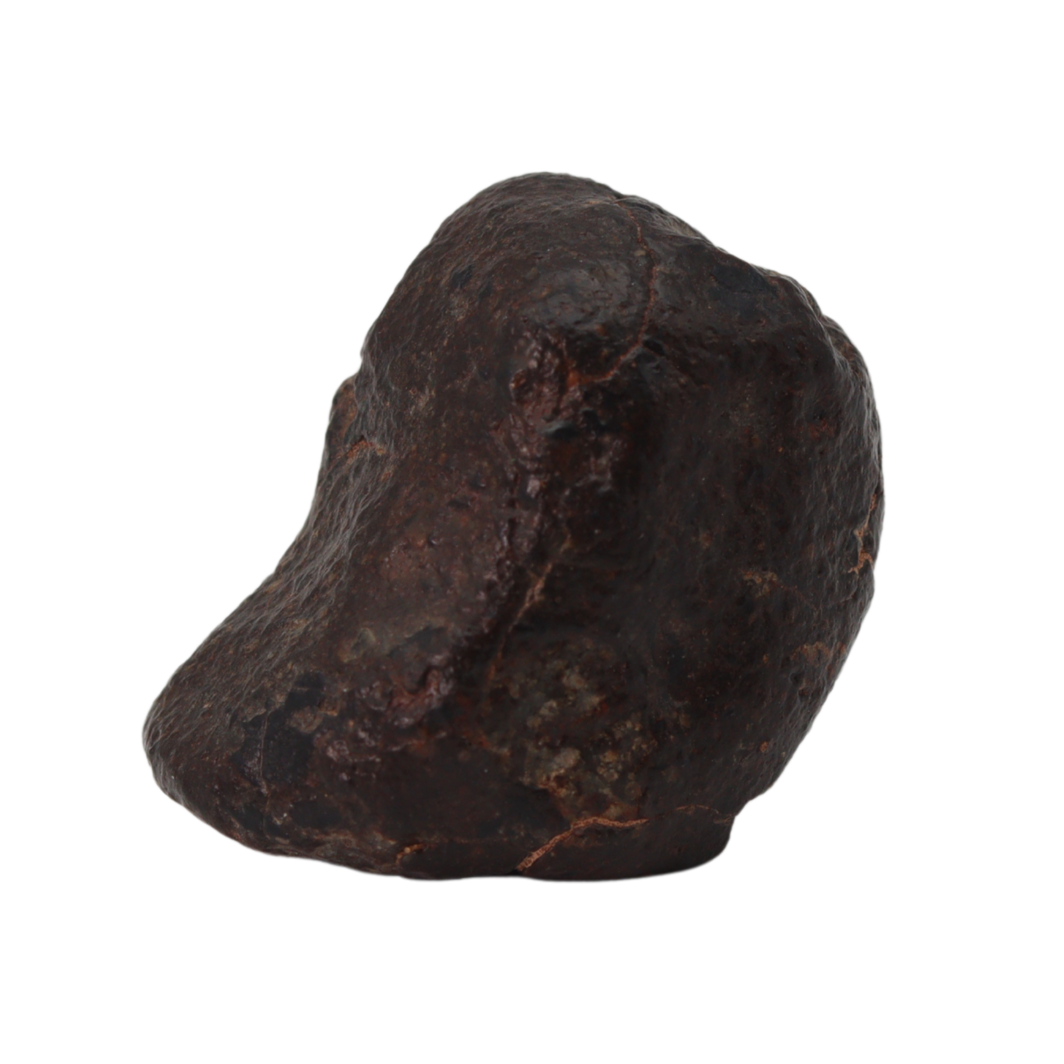 NWA 869 Meteorite Ordinary Chondrite Regolith Breccia (22.11 g) - MBS meteorite 