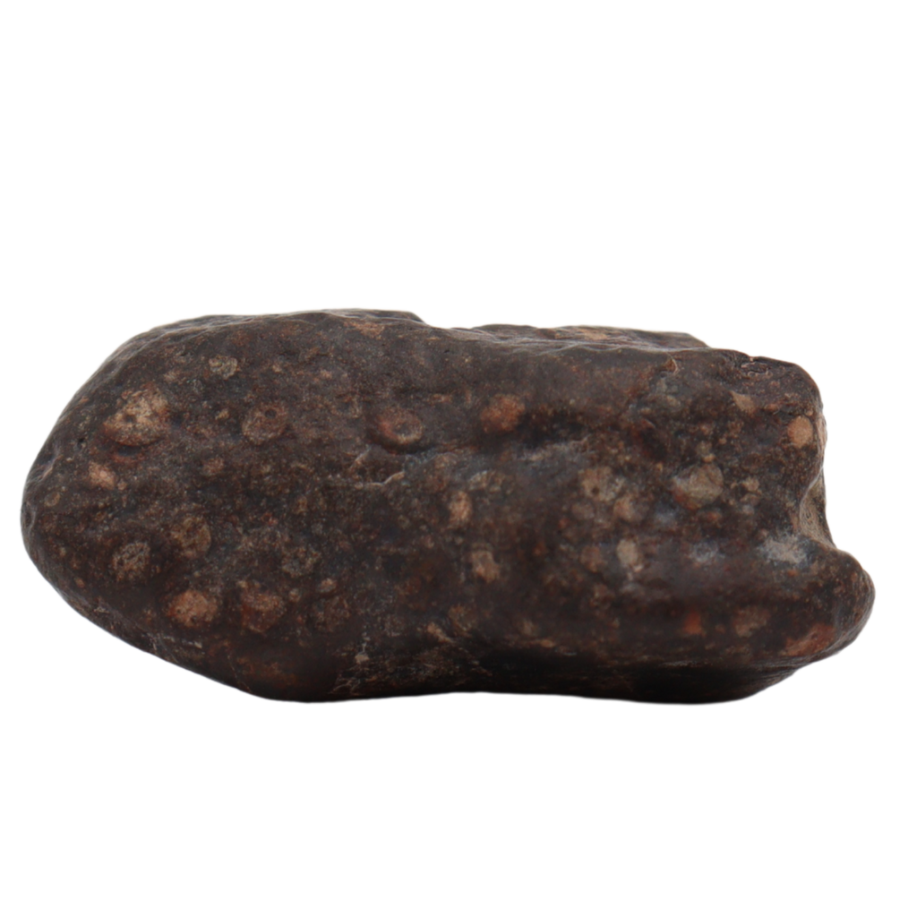 Erg Chech 008 Meteorite CR2 Carbonaceous Chondrite (10.8 g). - MBS meteorite 