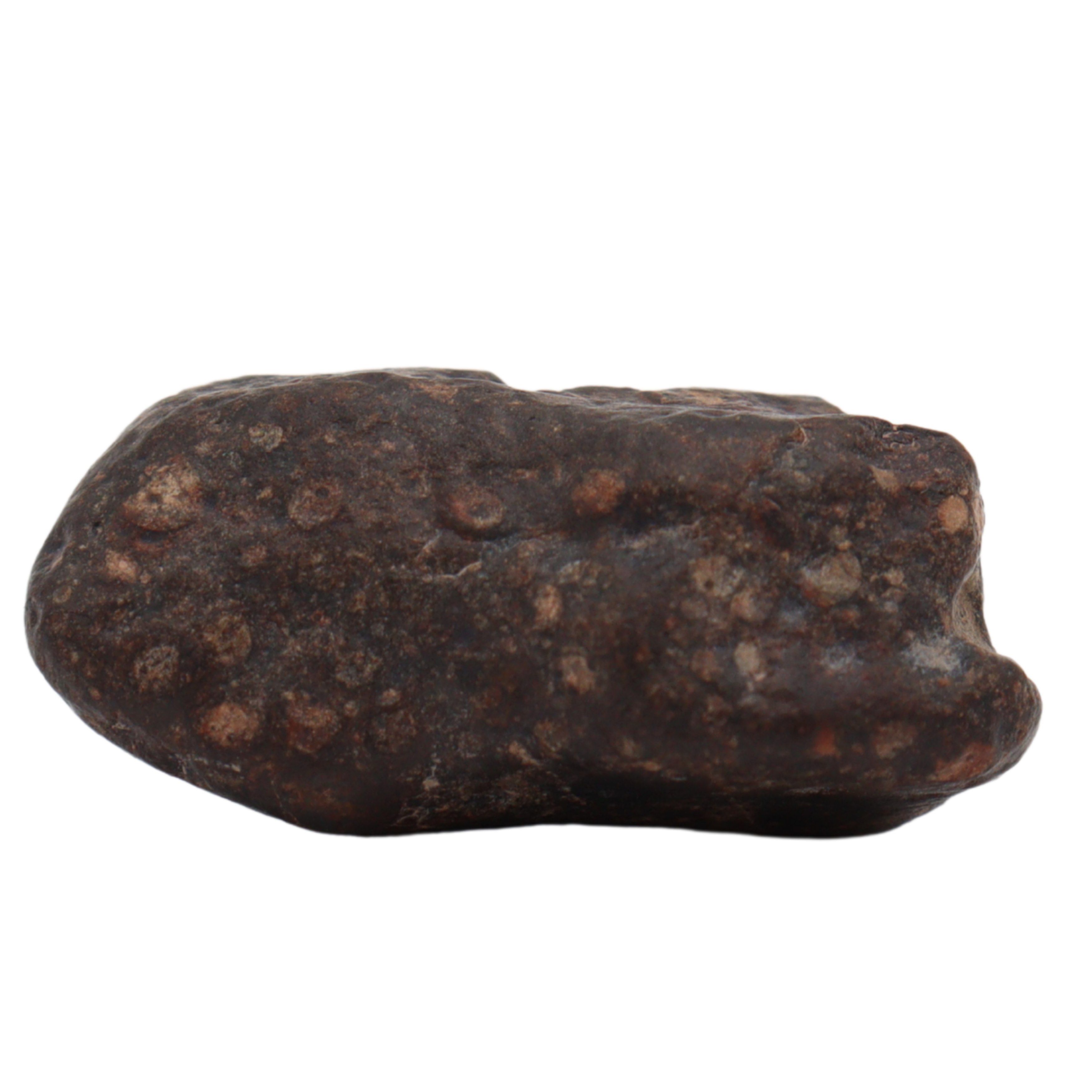 Erg Chech 008 Meteorite CR2 Carbonaceous Chondrite (10.8 g). - MBS meteorite 