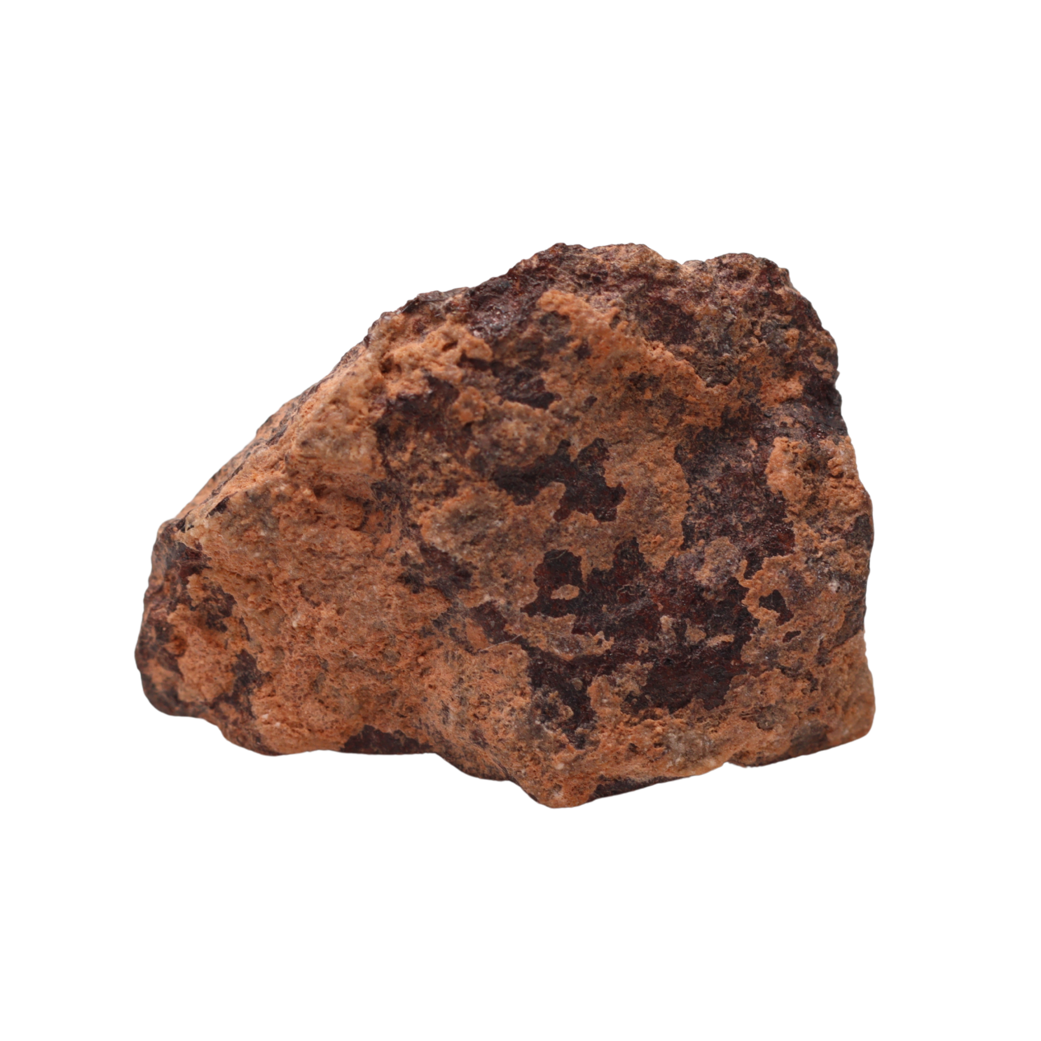 Rafsa 007 Meteorite Angrite Achondrite (3.8 g) - MBS meteorite 