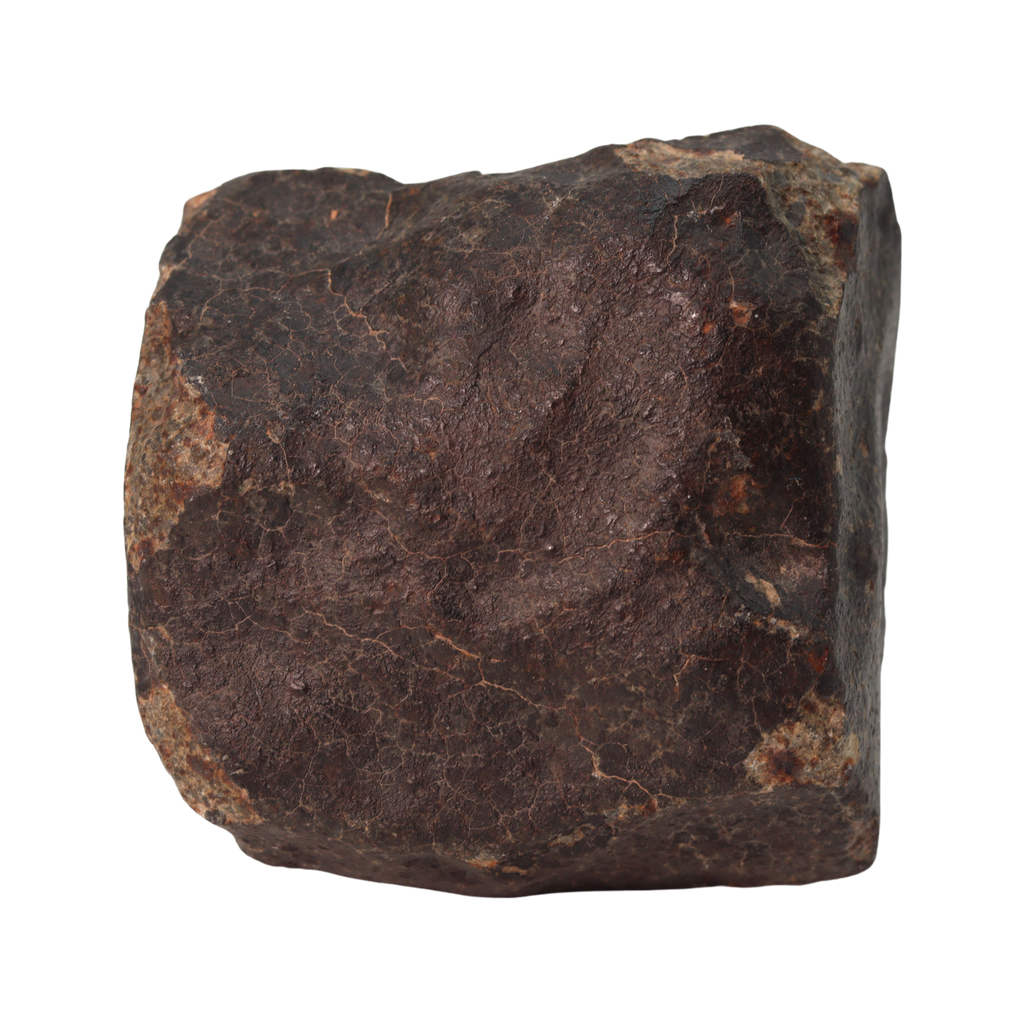 NWA 13281 Meteorite Ordinary Chondrite L5 (285 g) - MBS meteorite 