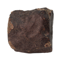 NWA 13281 Meteorite Ordinary Chondrite L5 (285 g) - MBS meteorite 