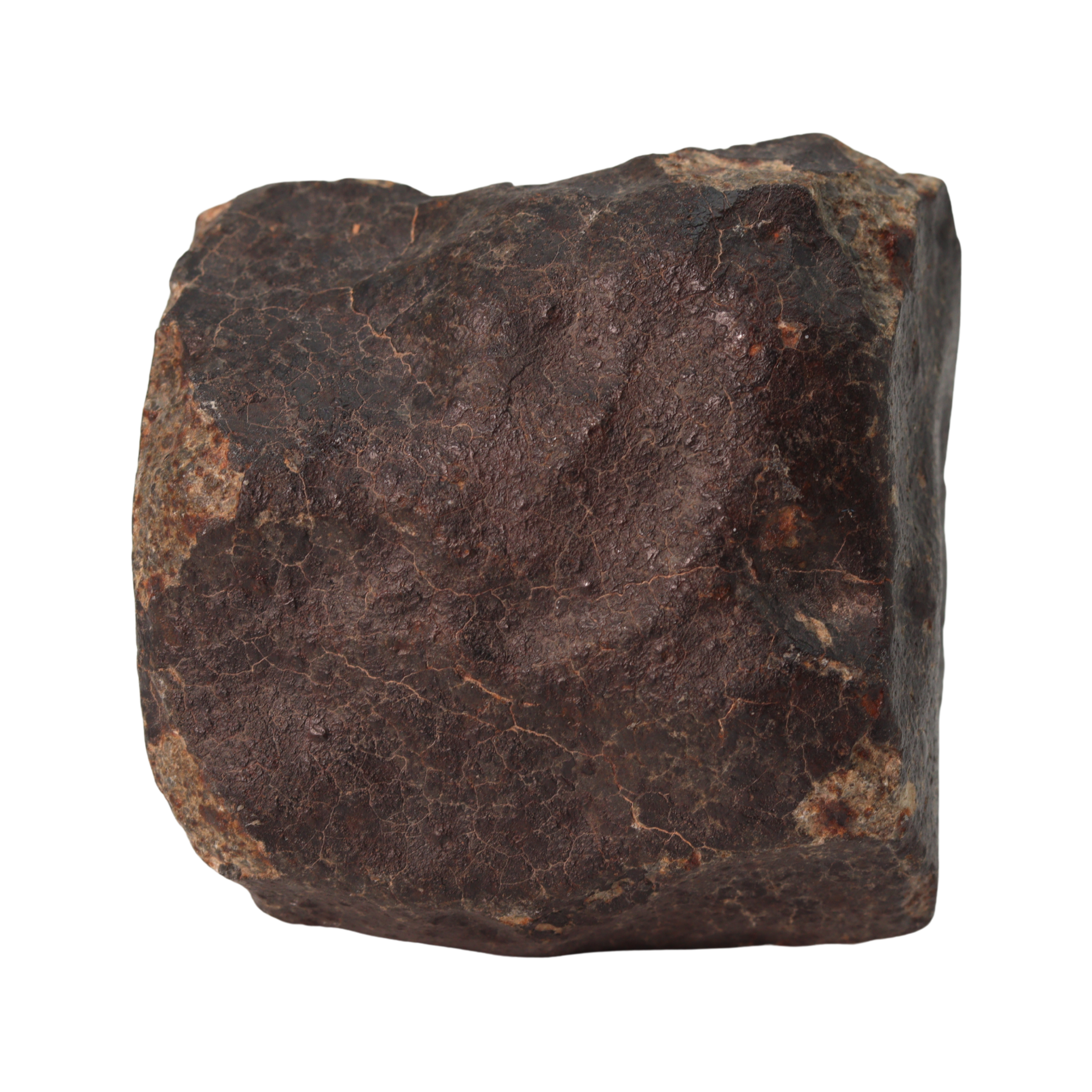NWA 13281 Meteorite Ordinary Chondrite L5 (285 g) - MBS meteorite 