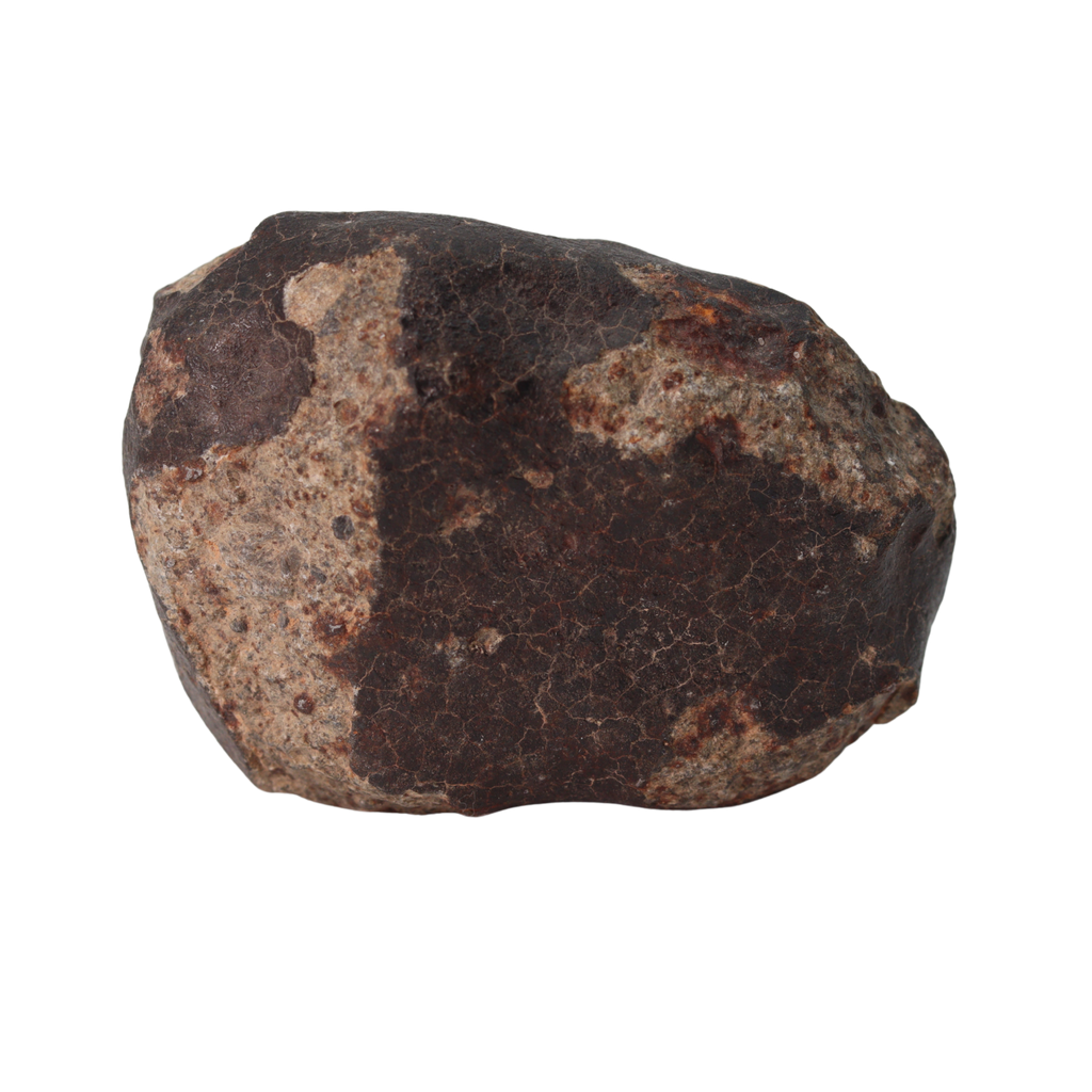 NWA 13281 Meteorite Ordinary Chondrite L5 (109 g) - MBS meteorite 