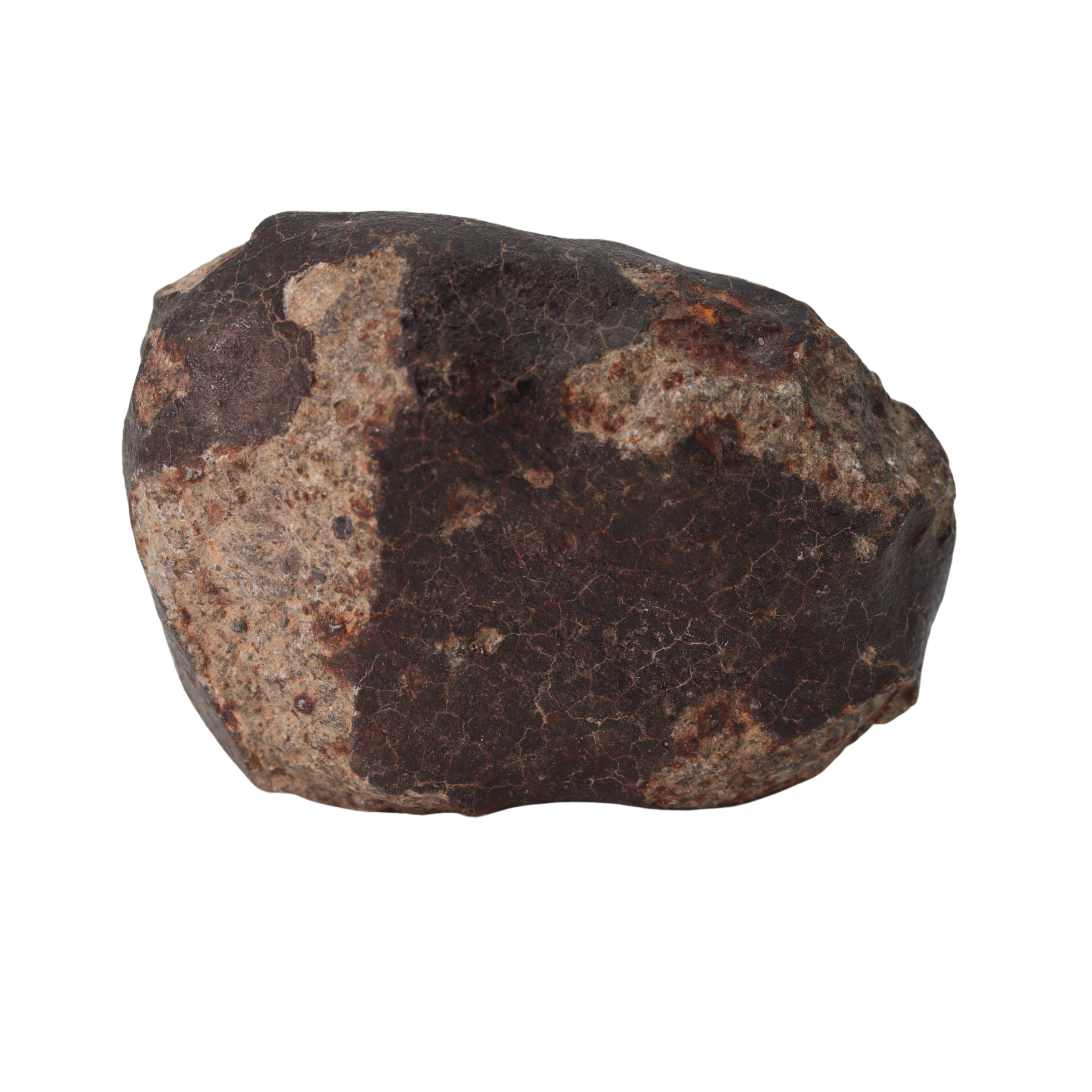 NWA 13281 Meteorite Ordinary Chondrite L5 (109 g) - MBS meteorite 