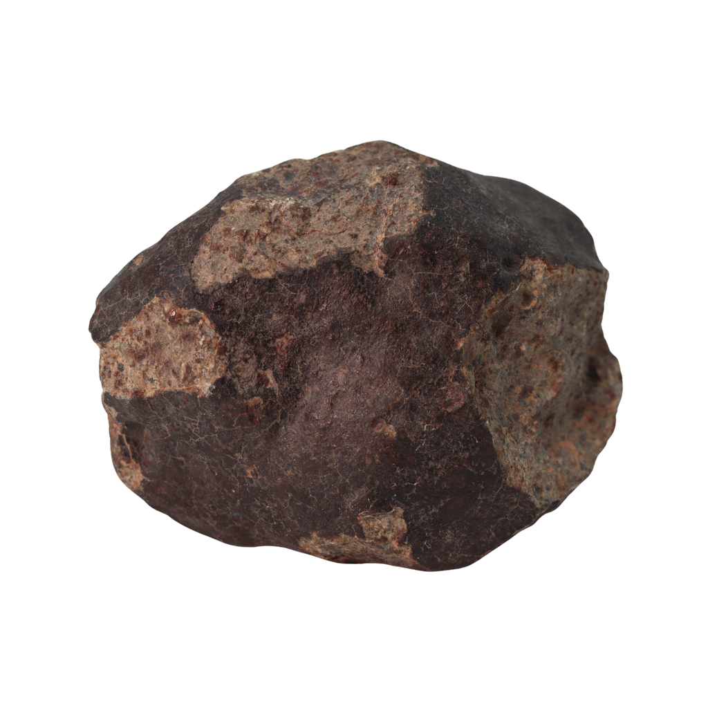 NWA 13281 Meteorite Ordinary Chondrite L5 (250 g) - MBS meteorite 