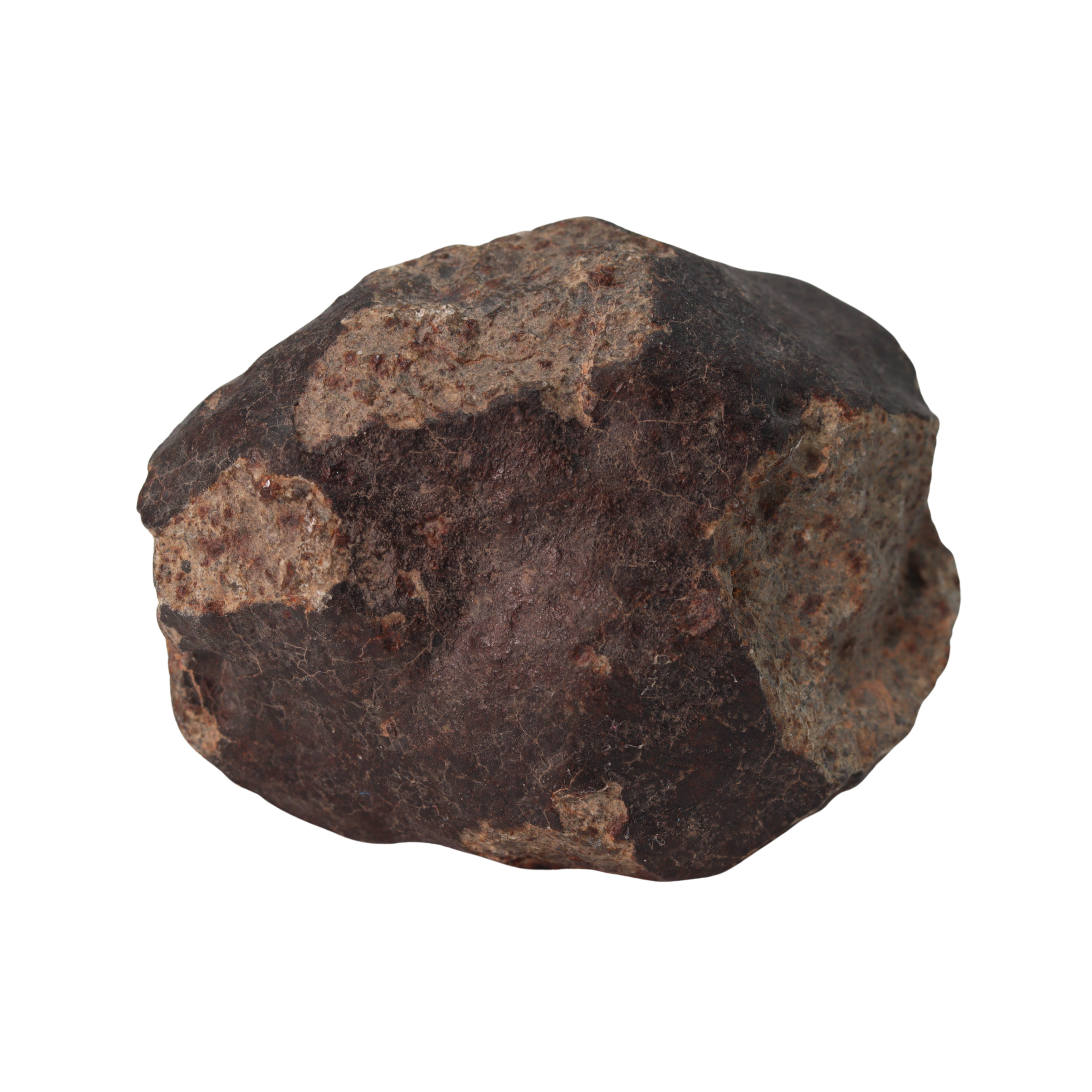 NWA 13281 Meteorite Ordinary Chondrite L5 (250 g) - MBS meteorite 