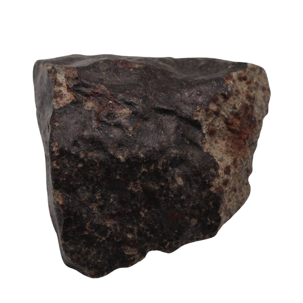 NWA 13281 Meteorite L5 Chondrite with Fusion Crust (175 g). - MBS meteorite 