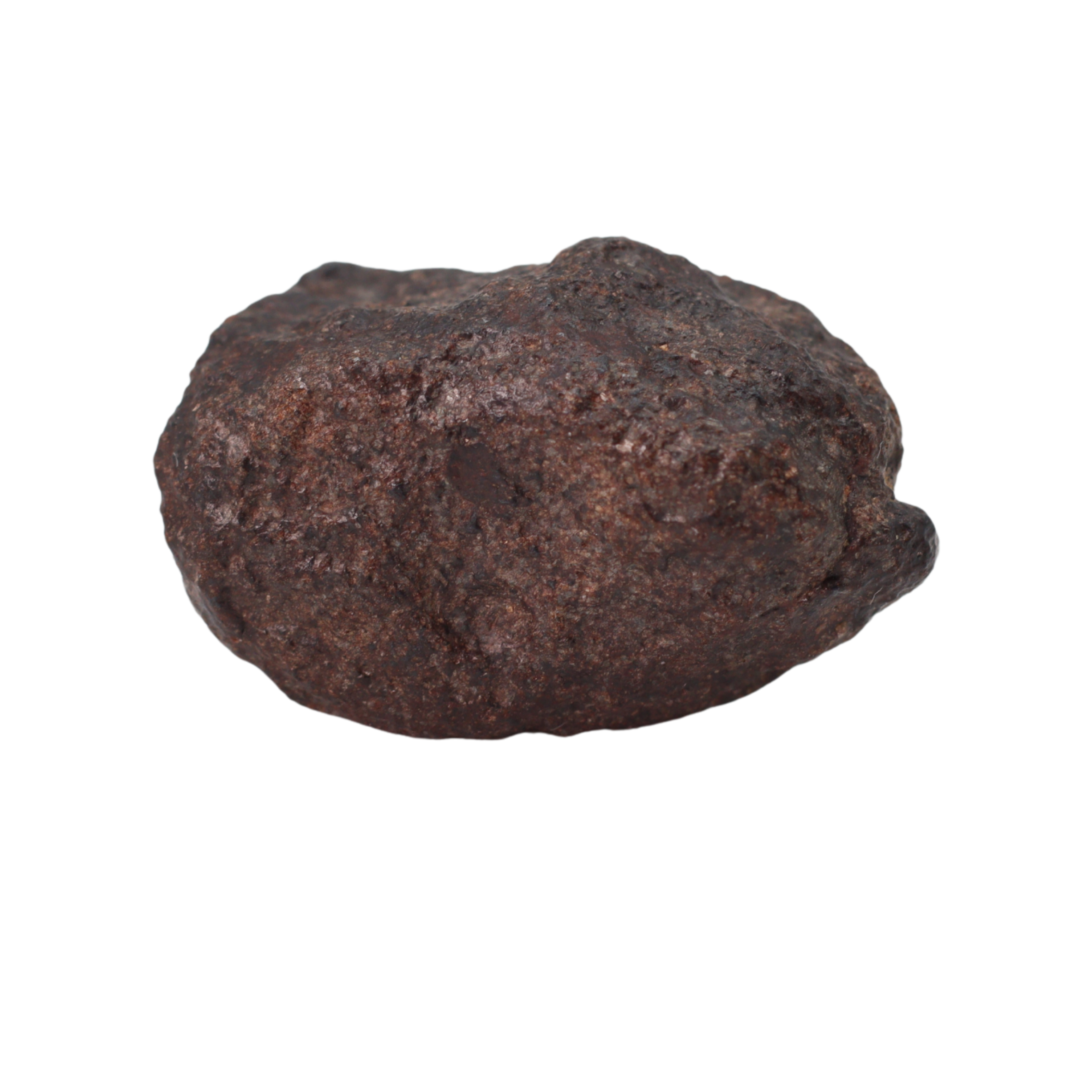 NWA 16208 Meteorite - Winonaite (4.41 g). - MBS meteorite 