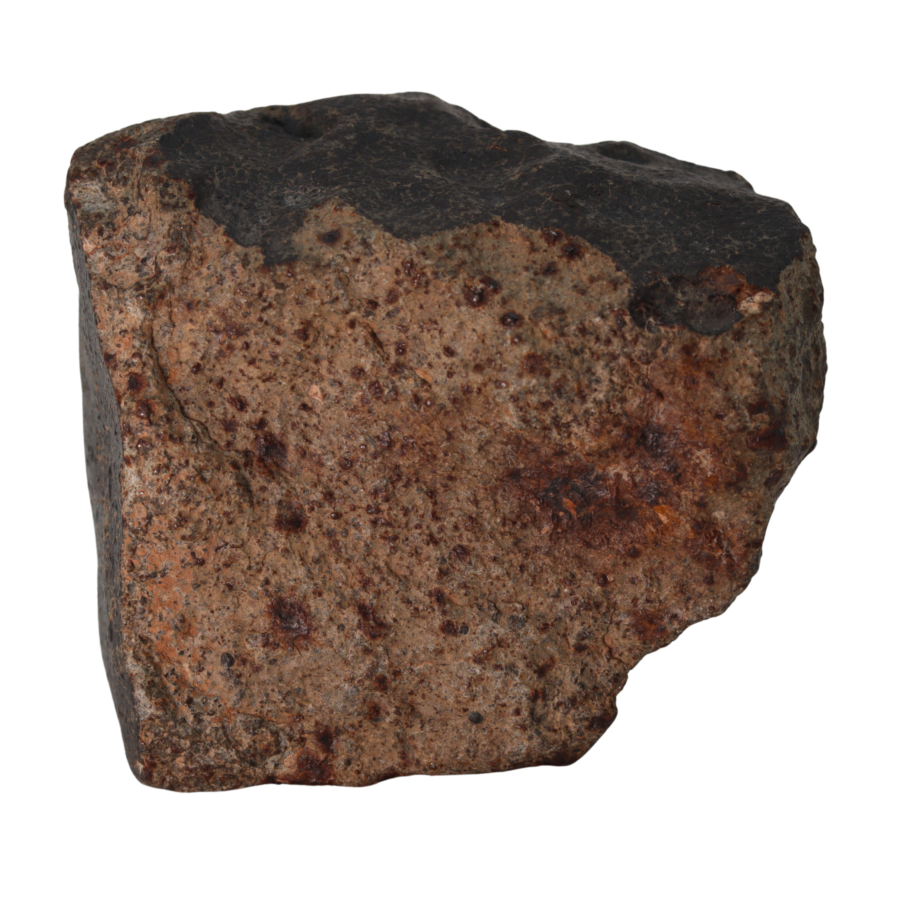 NWA 13281 Meteorite Massive L5 Chondrite Cabinet Specimen (781 g). - MBS meteorite 