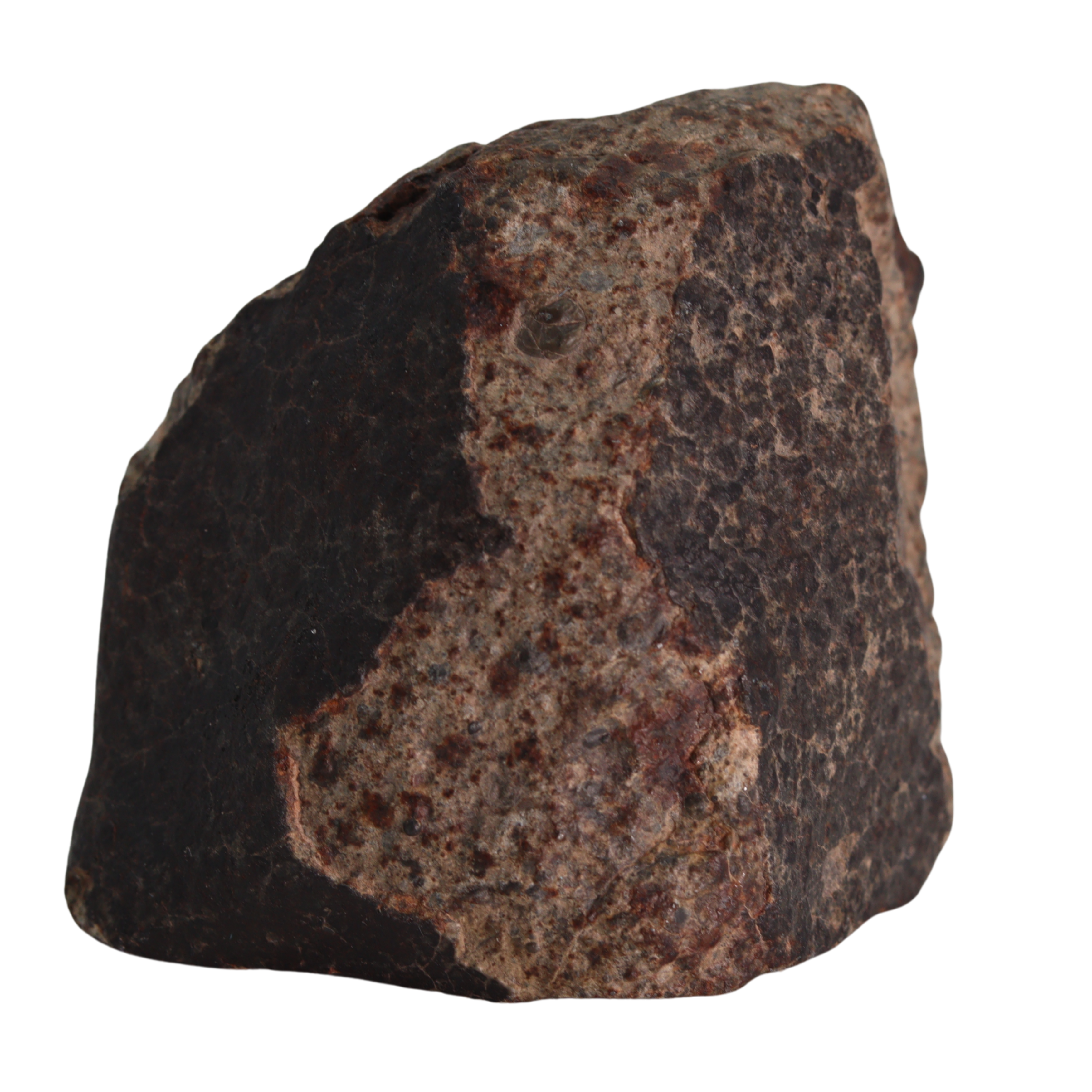 NWA 13281 Meteorite L5 Chondrite (165 g). - MBS meteorite 