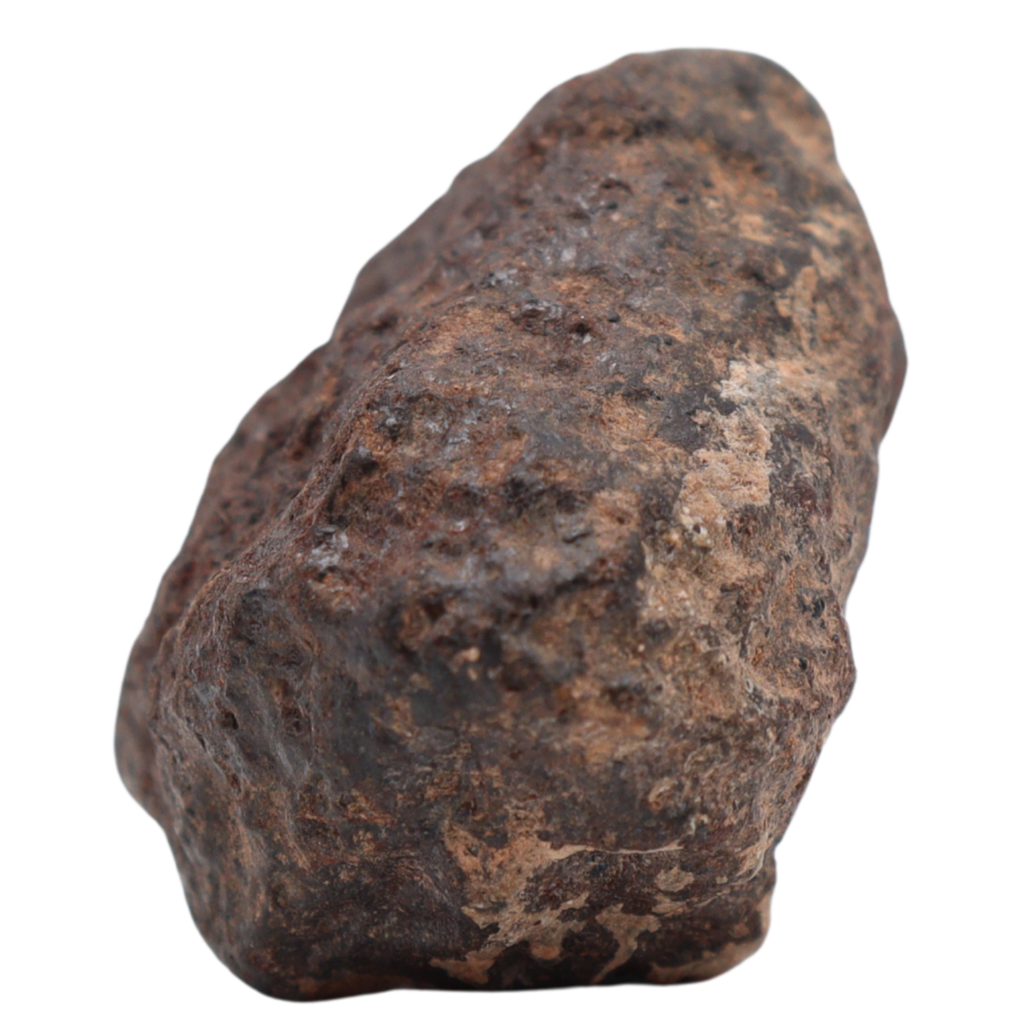 Rafsa 007 Meteorite Plutonic Angrite (17.3 g) - MBS meteorite 