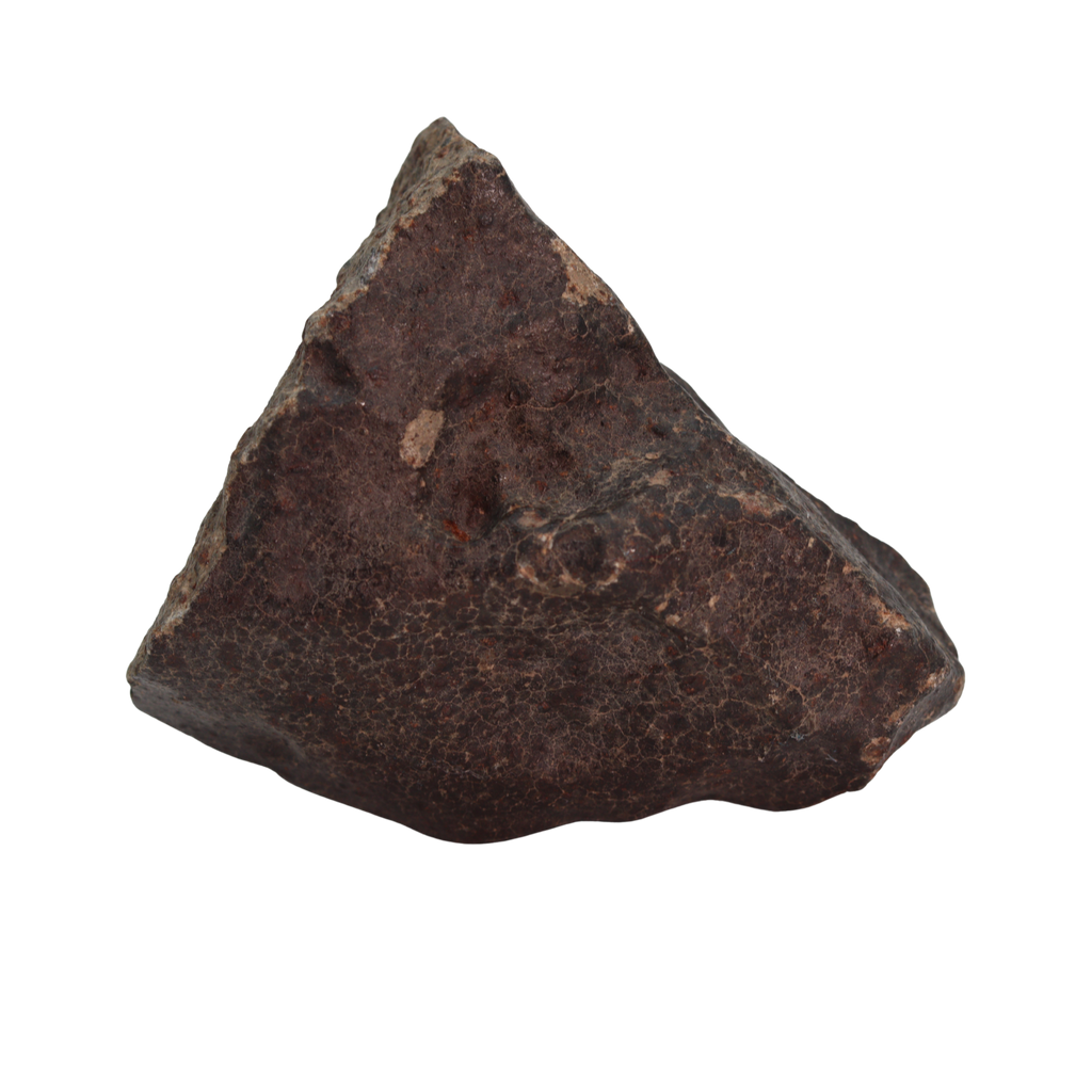 NWA 13281 Meteorite Ordinary Chondrite L5 (219 g) - MBS meteorite 