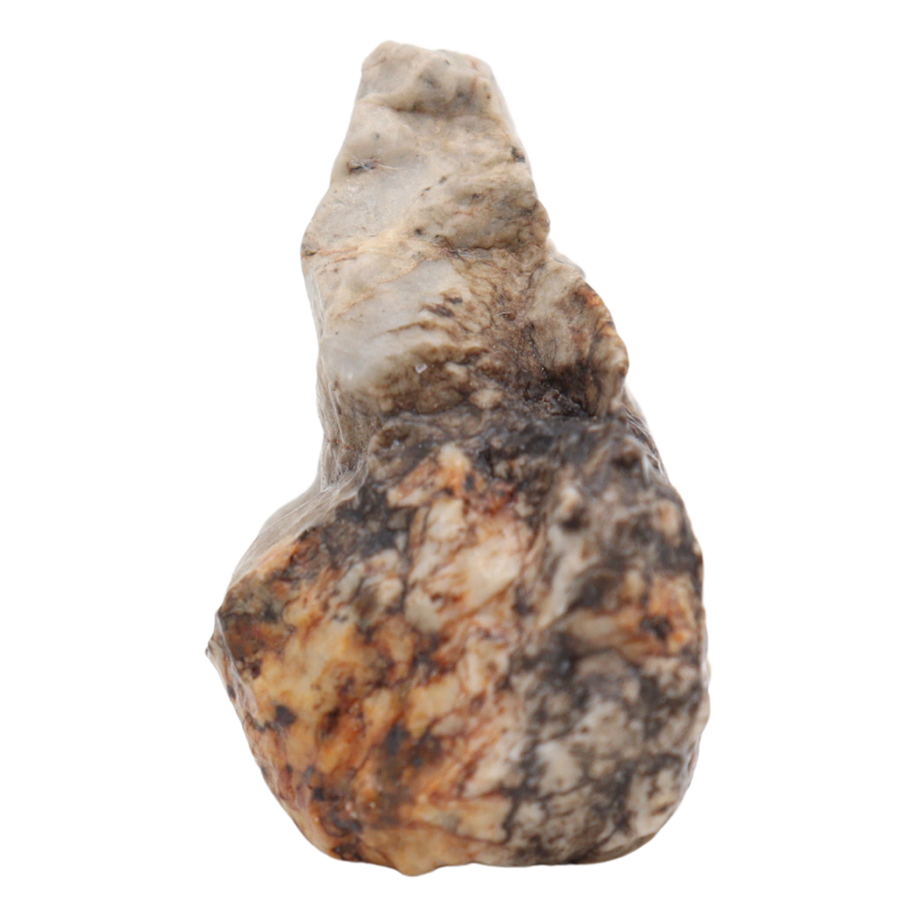 Djoua 001 Meteorite Aubrite Enstatite Achondrite (12.1 g). - MBS meteorite 