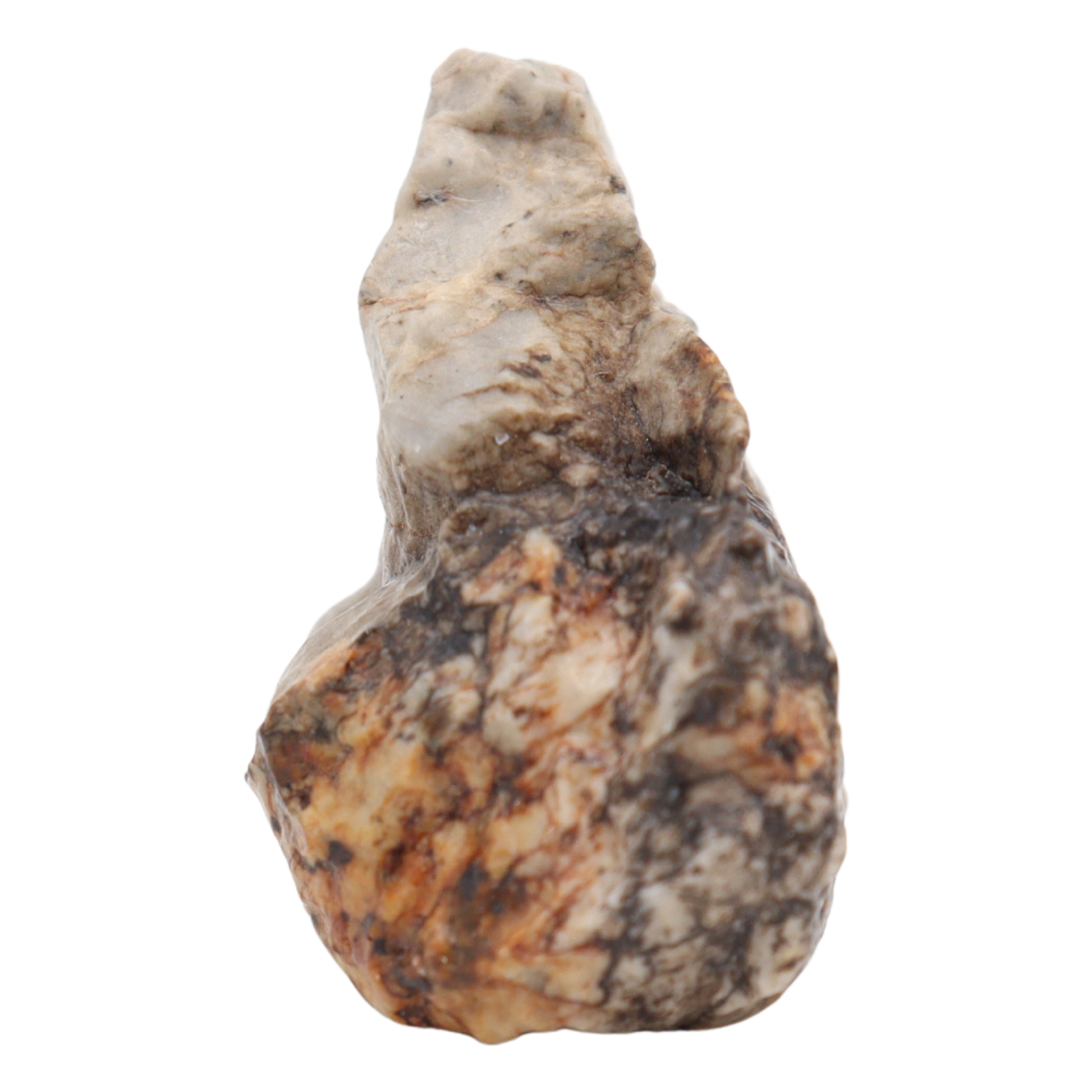 Djoua 001 Meteorite Aubrite Enstatite Achondrite (12.1 g). - MBS meteorite 