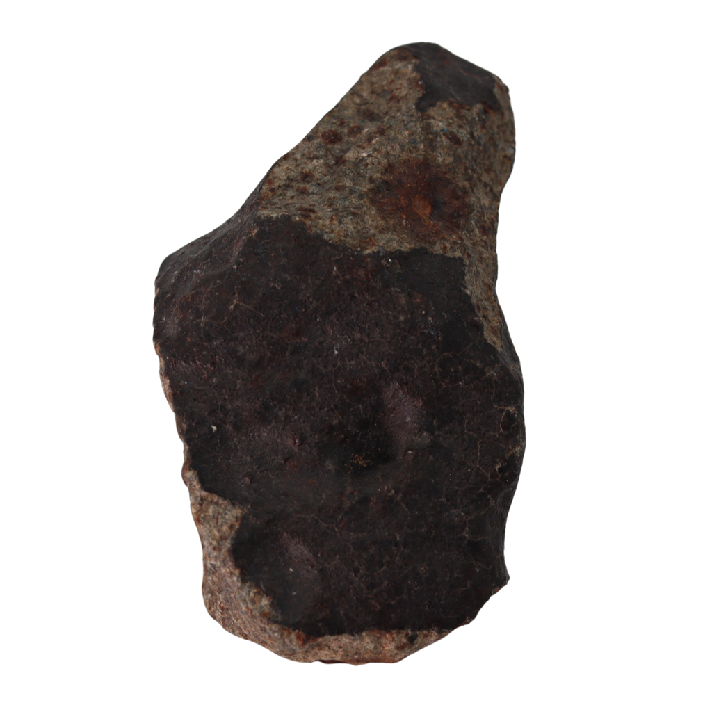 NWA 13281 Meteorite L5 Chondrite (110 g). - MBS meteorite 