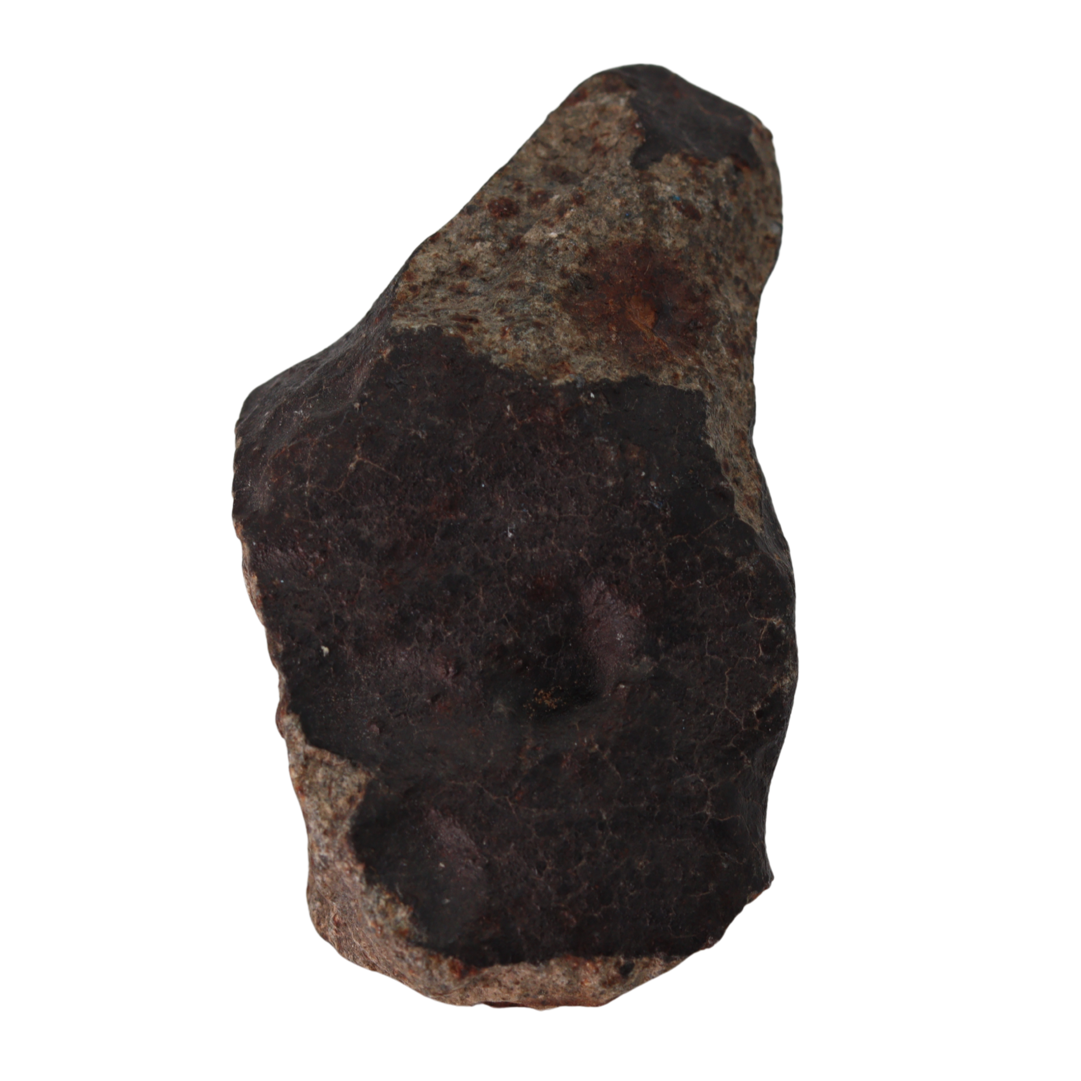 NWA 13281 Meteorite L5 Chondrite (110 g). - MBS meteorite 